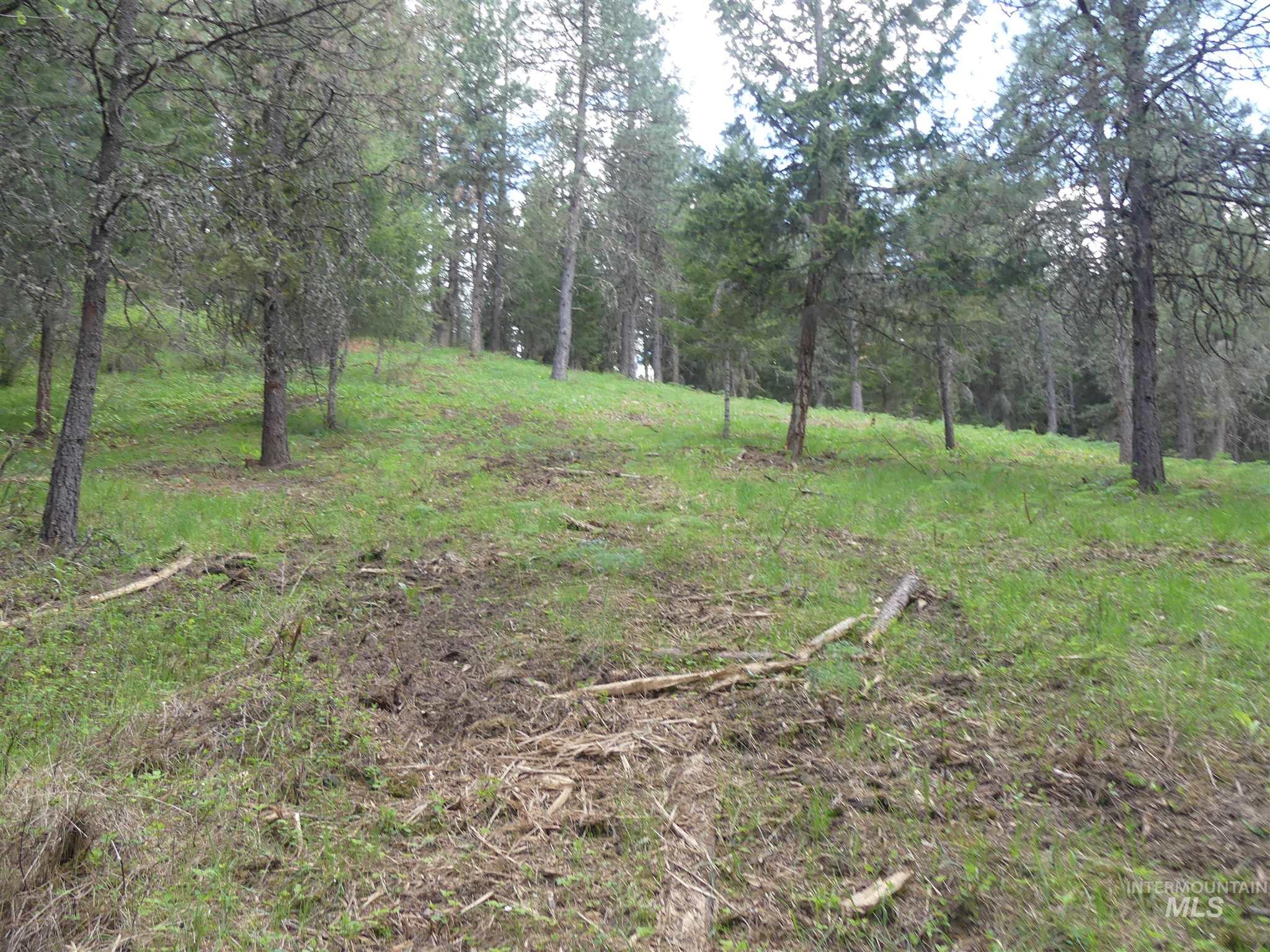 22743 Old Melrose Grade, Peck, Idaho 83545, Land For Sale, Price $250,000, 98915395