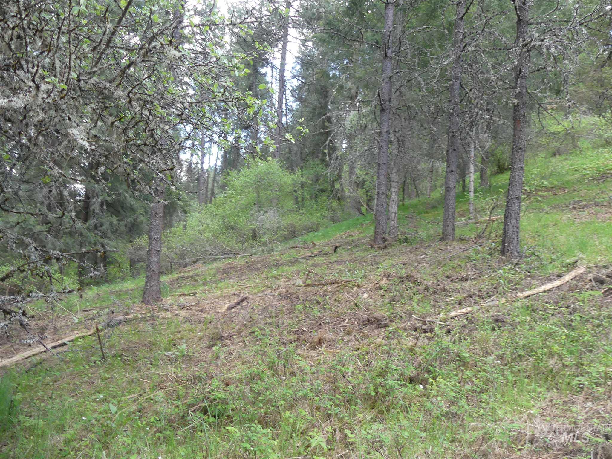 22743 Old Melrose Grade, Peck, Idaho 83545, Land For Sale, Price $250,000, 98915395