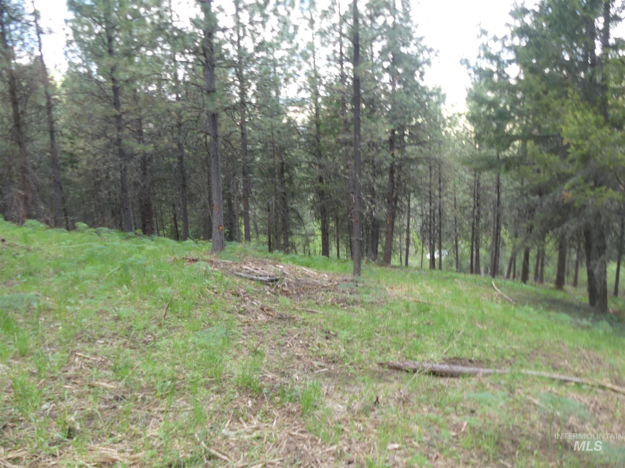 22743 Old Melrose Grade, Peck, Idaho 83545, Land For Sale, Price $300,000,MLS 98915395