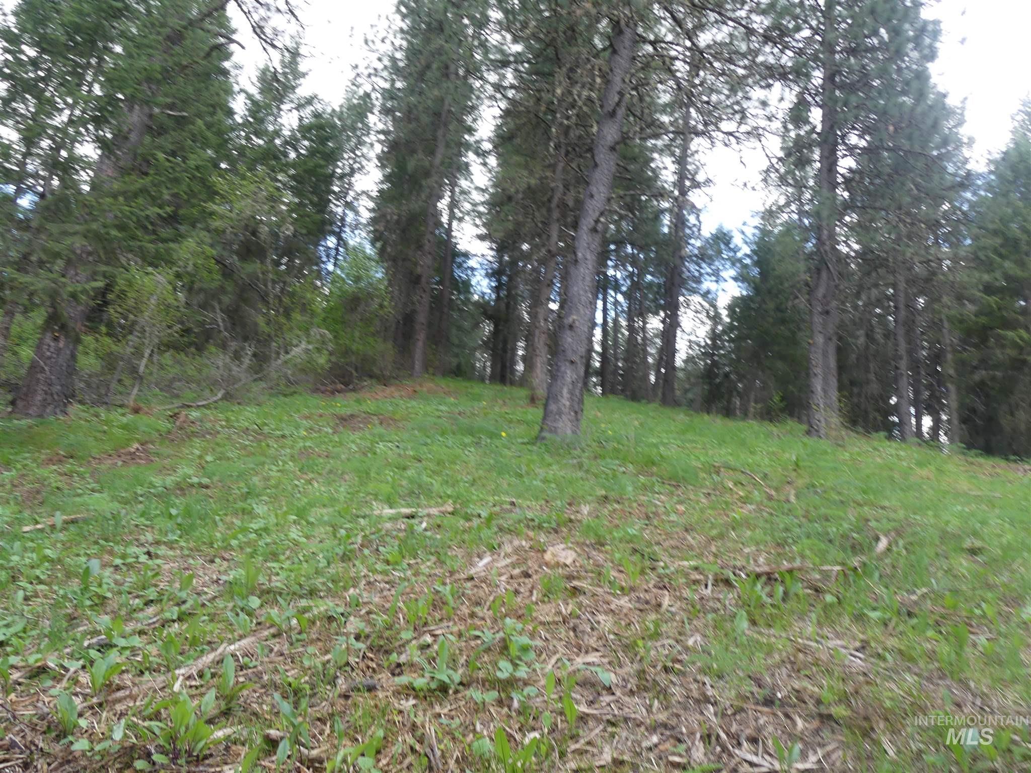 22743 Old Melrose Grade, Peck, Idaho 83545, Land For Sale, Price $250,000, 98915395