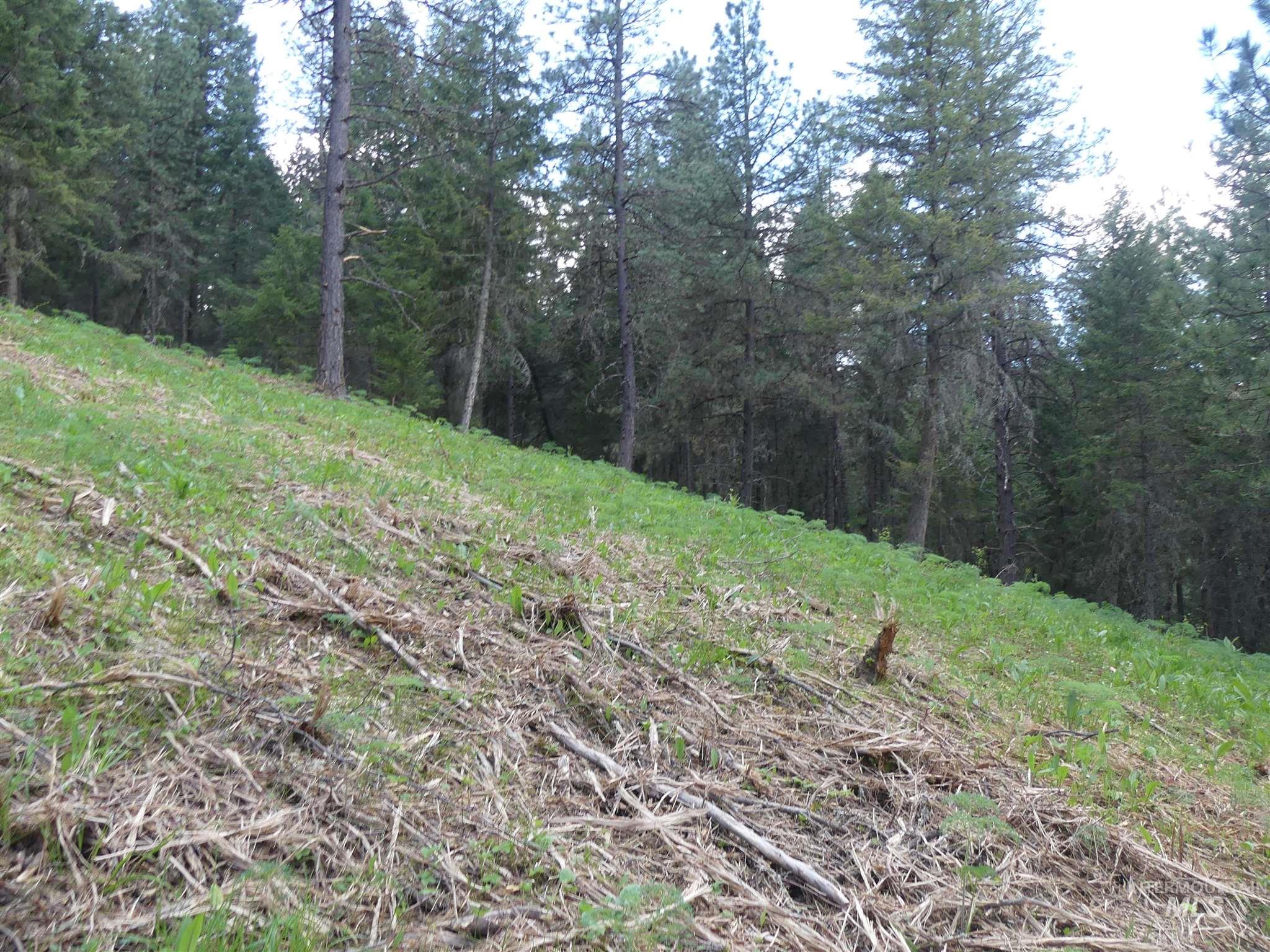 22743 Old Melrose Grade, Peck, Idaho 83545, Land For Sale, Price $250,000, 98915395