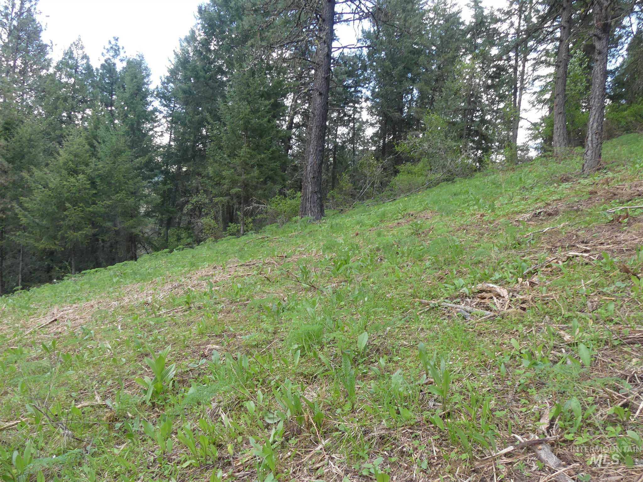 22743 Old Melrose Grade, Peck, Idaho 83545, Land For Sale, Price $250,000, 98915395