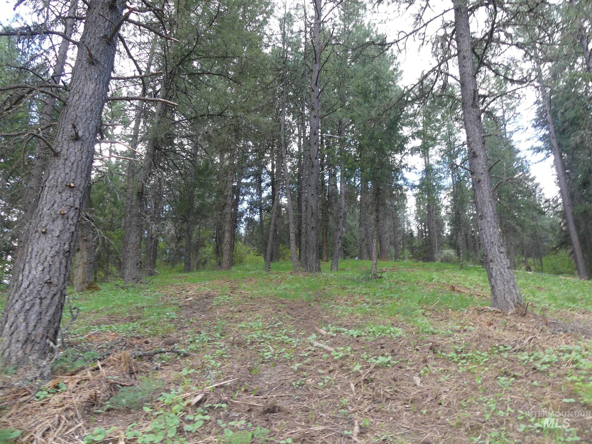 22743 Old Melrose Grade, Peck, Idaho 83545, Land For Sale, Price $250,000, 98915395
