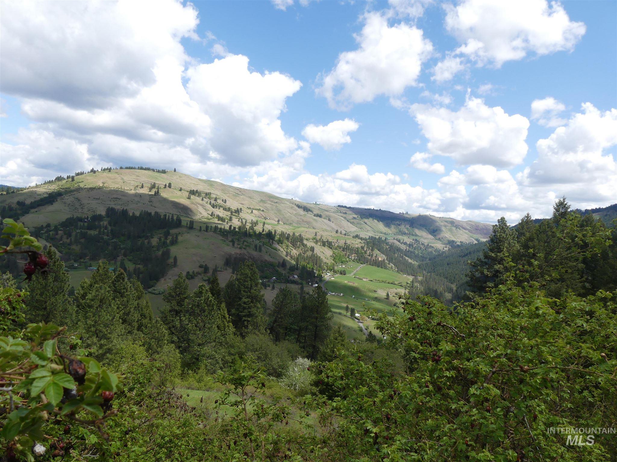 22743 Old Melrose Grade, Peck, Idaho 83545, Land For Sale, Price $250,000, 98915395