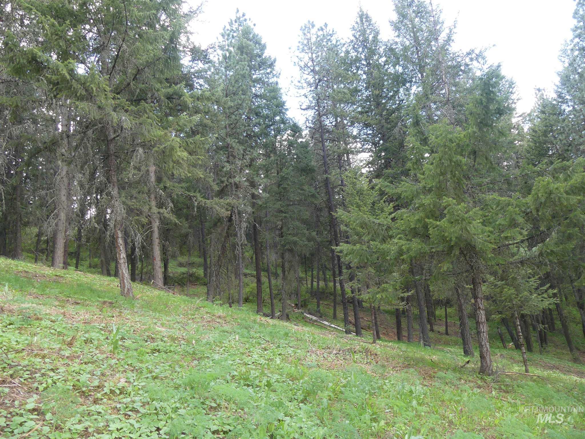 22743 Old Melrose Grade, Peck, Idaho 83545, Land For Sale, Price $250,000, 98915395