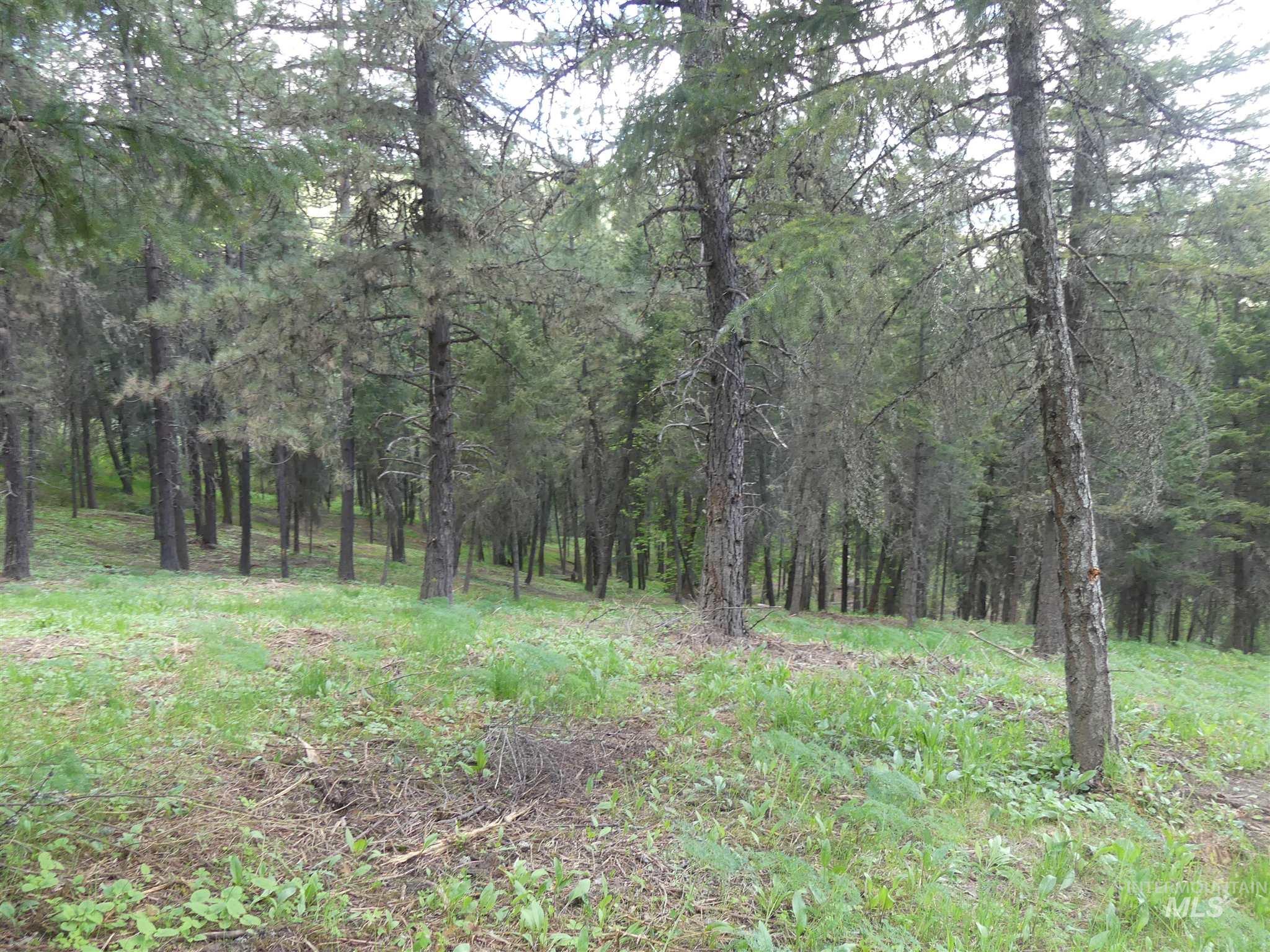 22743 Old Melrose Grade, Peck, Idaho 83545, Land For Sale, Price $250,000, 98915395