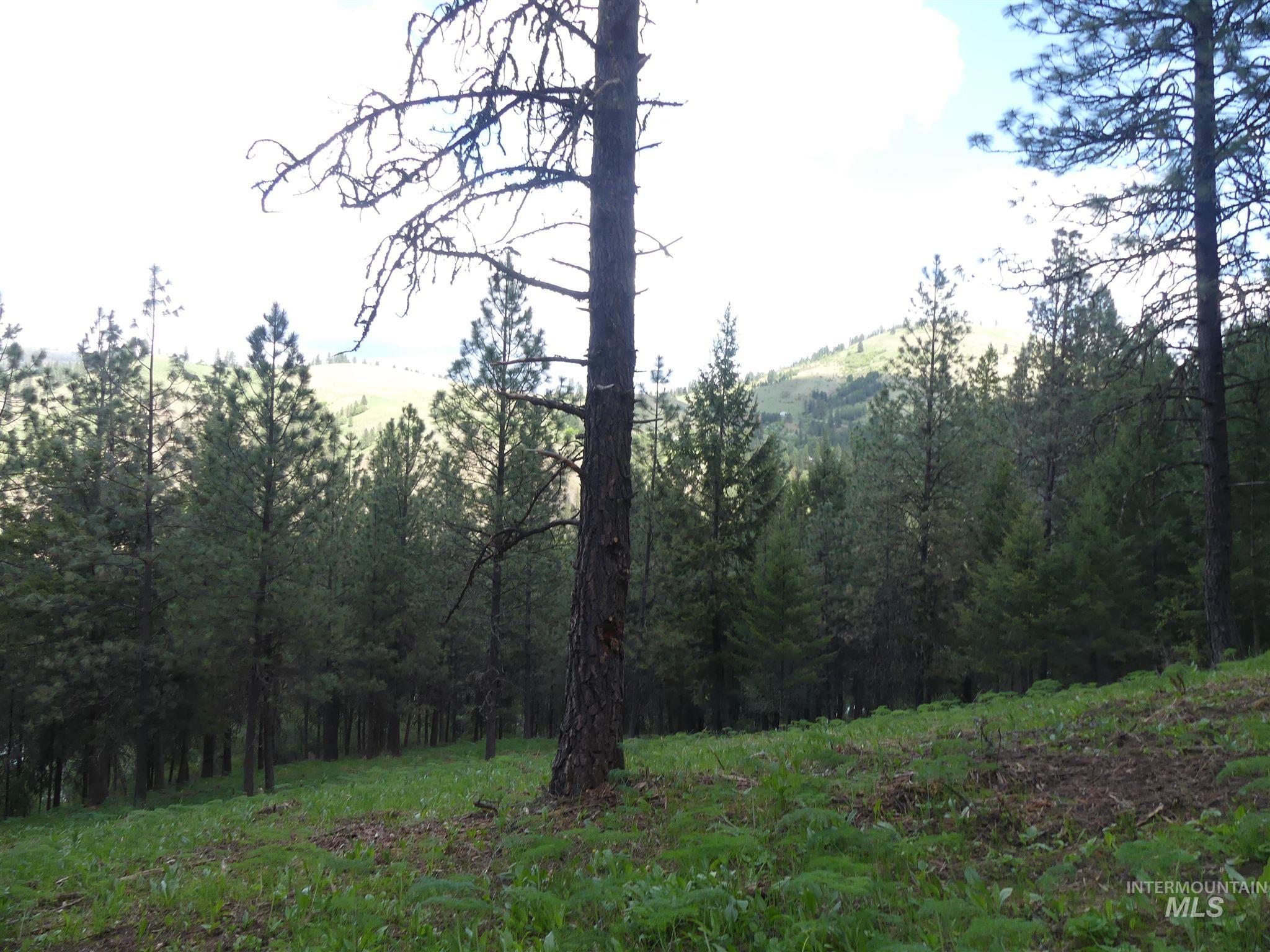 22743 Old Melrose Grade, Peck, Idaho 83545, Land For Sale, Price $250,000, 98915395