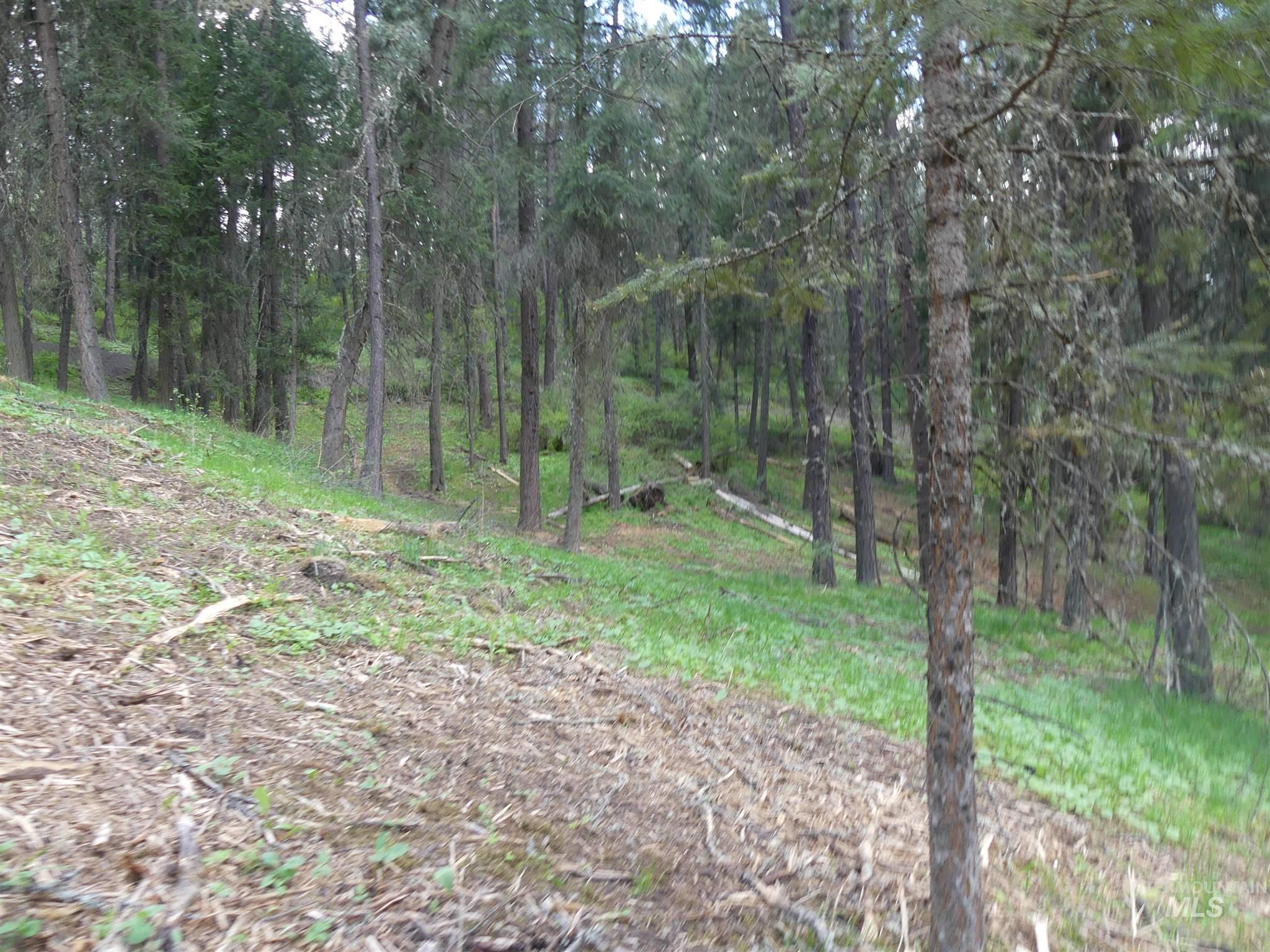 22743 Old Melrose Grade, Peck, Idaho 83545, Land For Sale, Price $250,000, 98915395