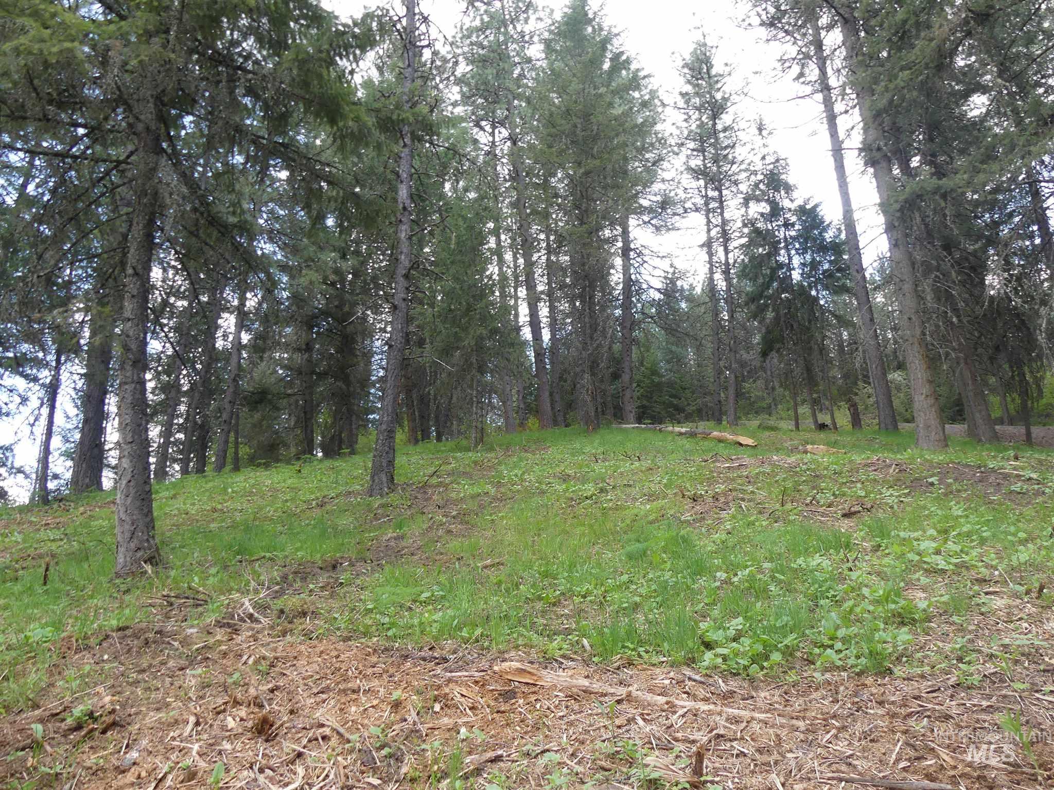 22743 Old Melrose Grade, Peck, Idaho 83545, Land For Sale, Price $250,000, 98915395