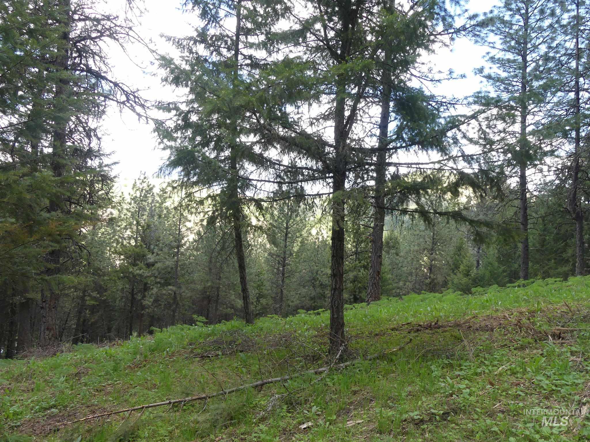 22743 Old Melrose Grade, Peck, Idaho 83545, Land For Sale, Price $250,000, 98915395