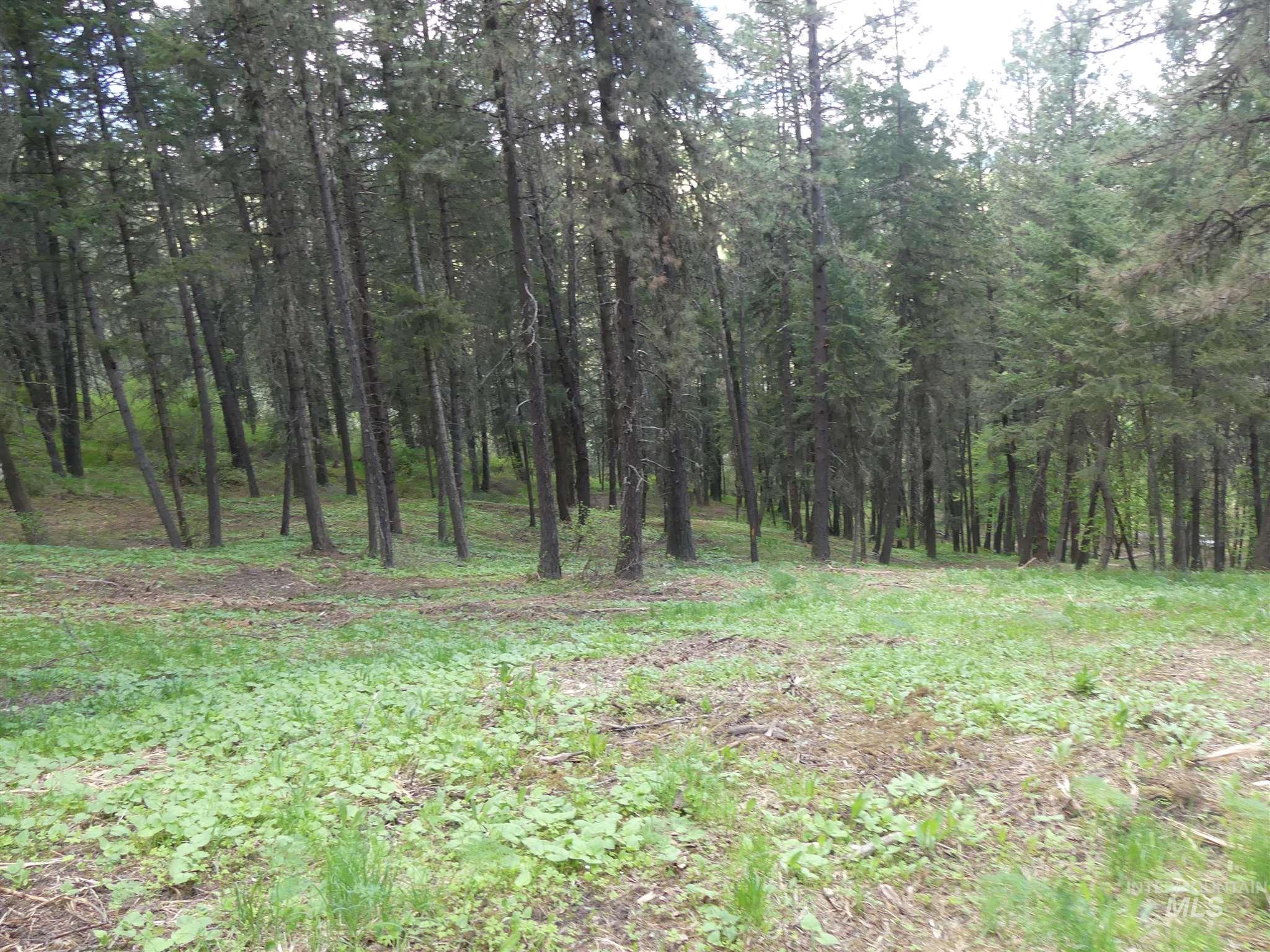 22743 Old Melrose Grade, Peck, Idaho 83545, Land For Sale, Price $300,000,MLS 98915395