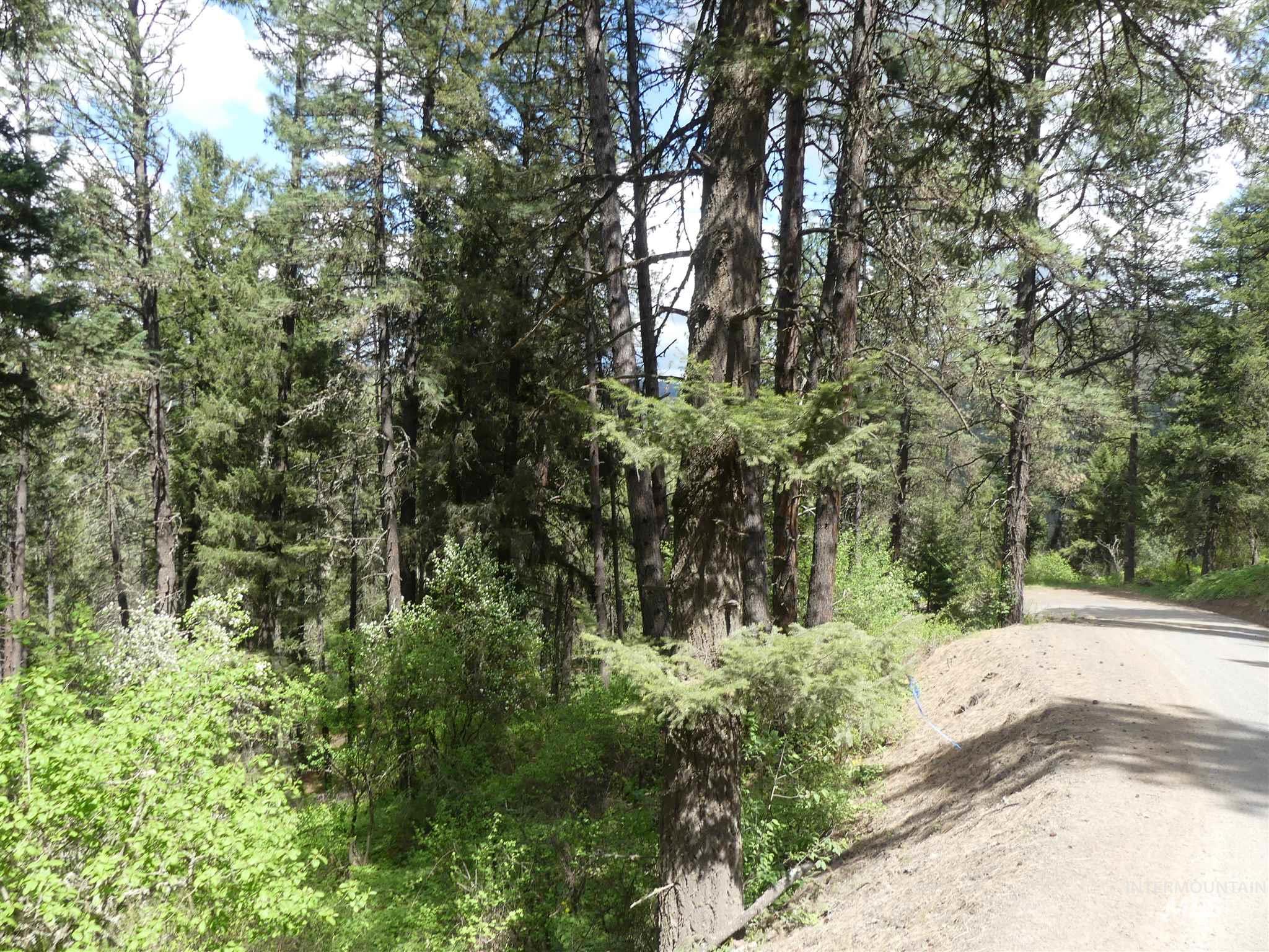 22743 Old Melrose Grade, Peck, Idaho 83545, Land For Sale, Price $250,000, 98915395