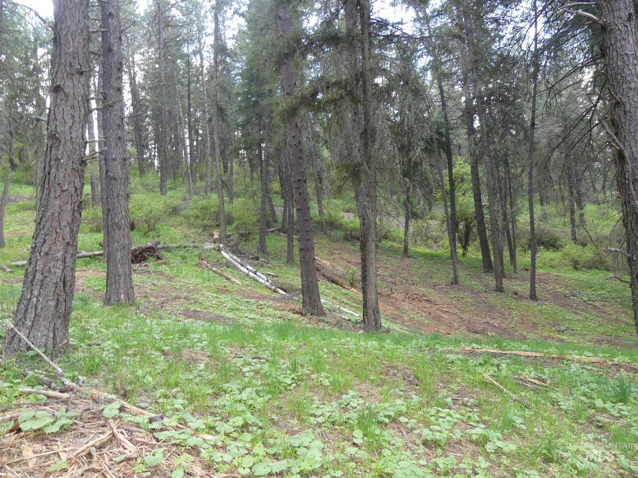 22743 Old Melrose Grade, Peck, Idaho 83545, Land For Sale, Price $250,000, 98915395