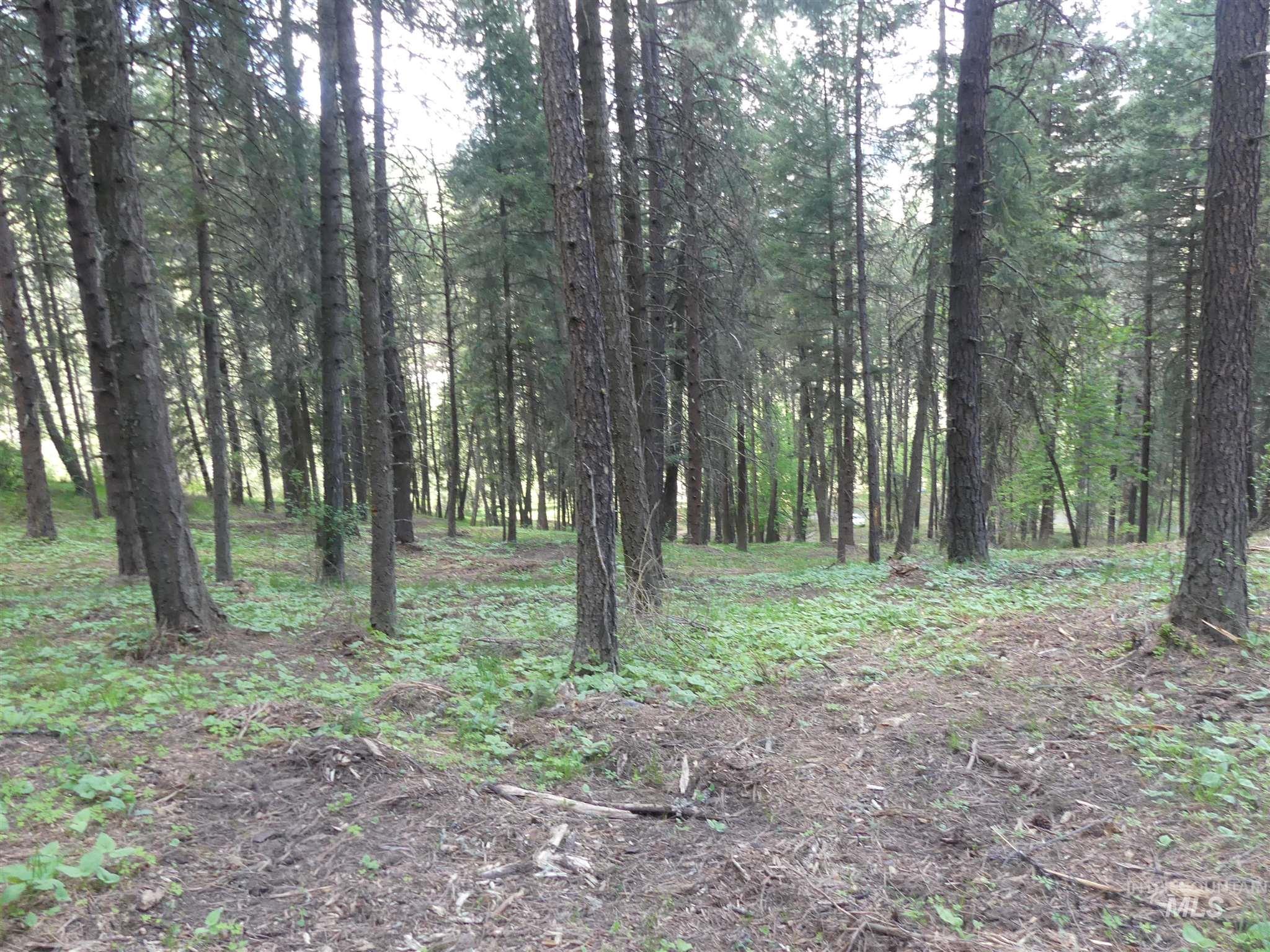 22743 Old Melrose Grade, Peck, Idaho 83545, Land For Sale, Price $250,000, 98915395