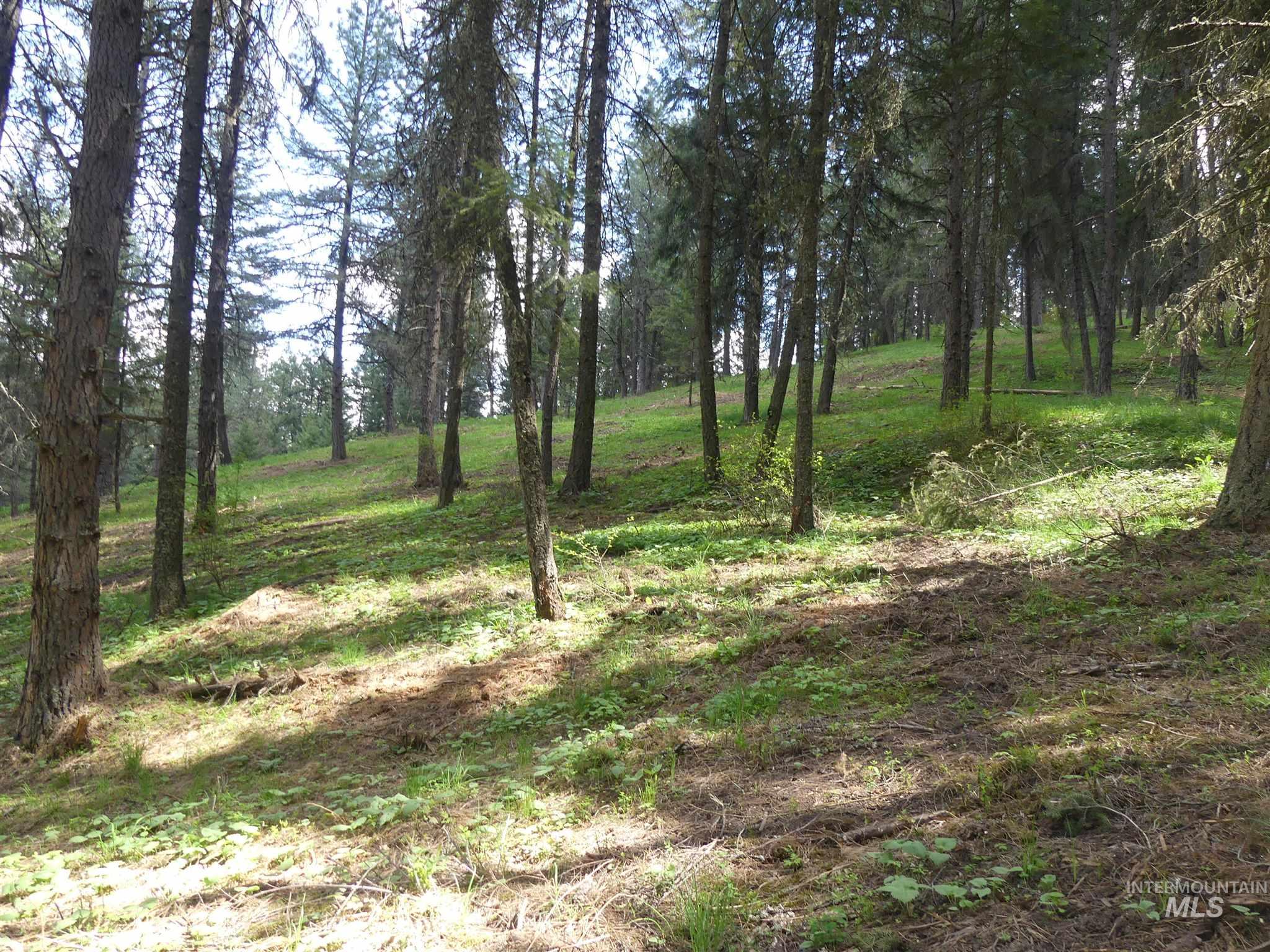 22743 Old Melrose Grade, Peck, Idaho 83545, Land For Sale, Price $250,000, 98915395