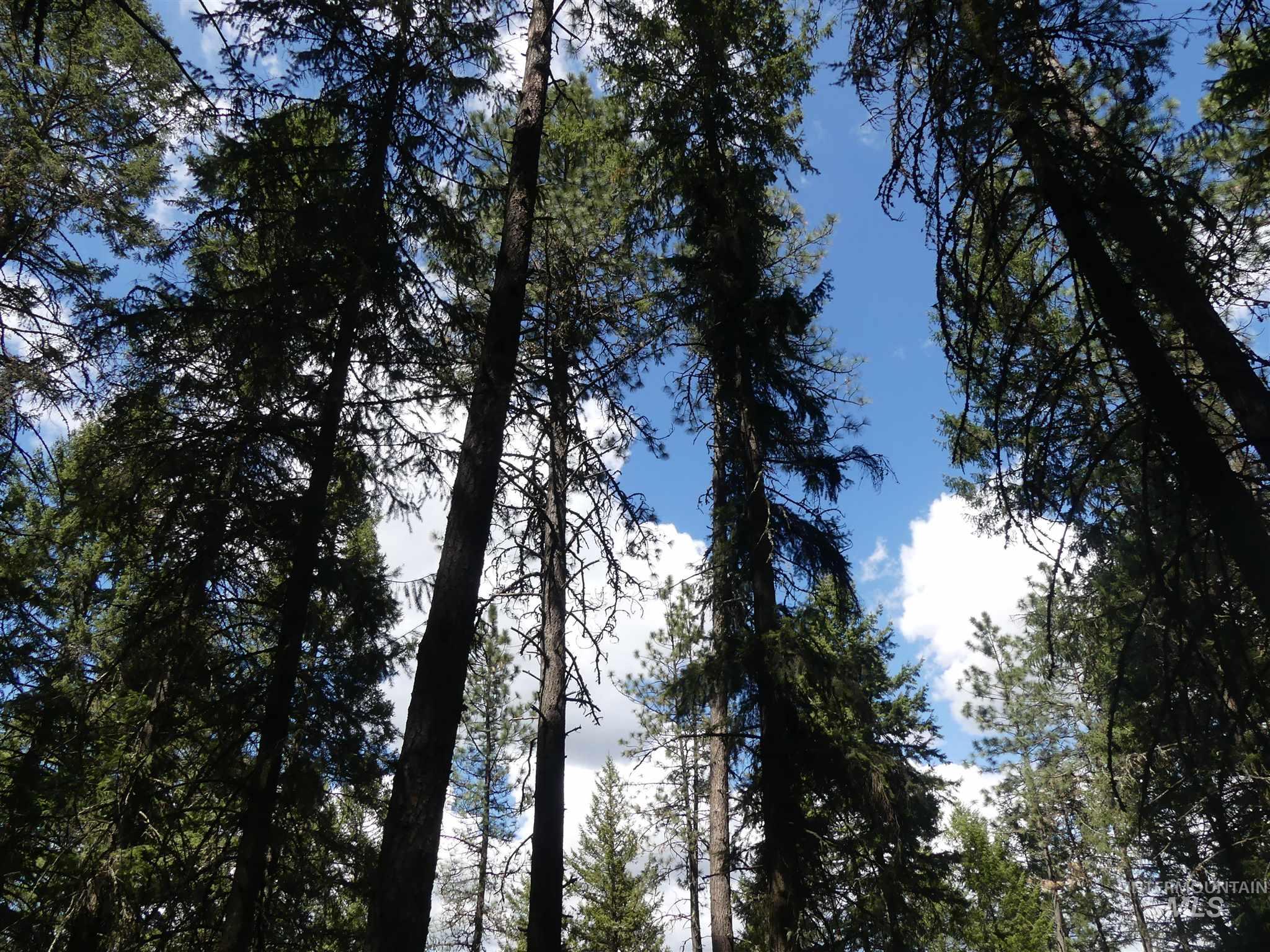 22743 Old Melrose Grade, Peck, Idaho 83545, Land For Sale, Price $250,000, 98915395