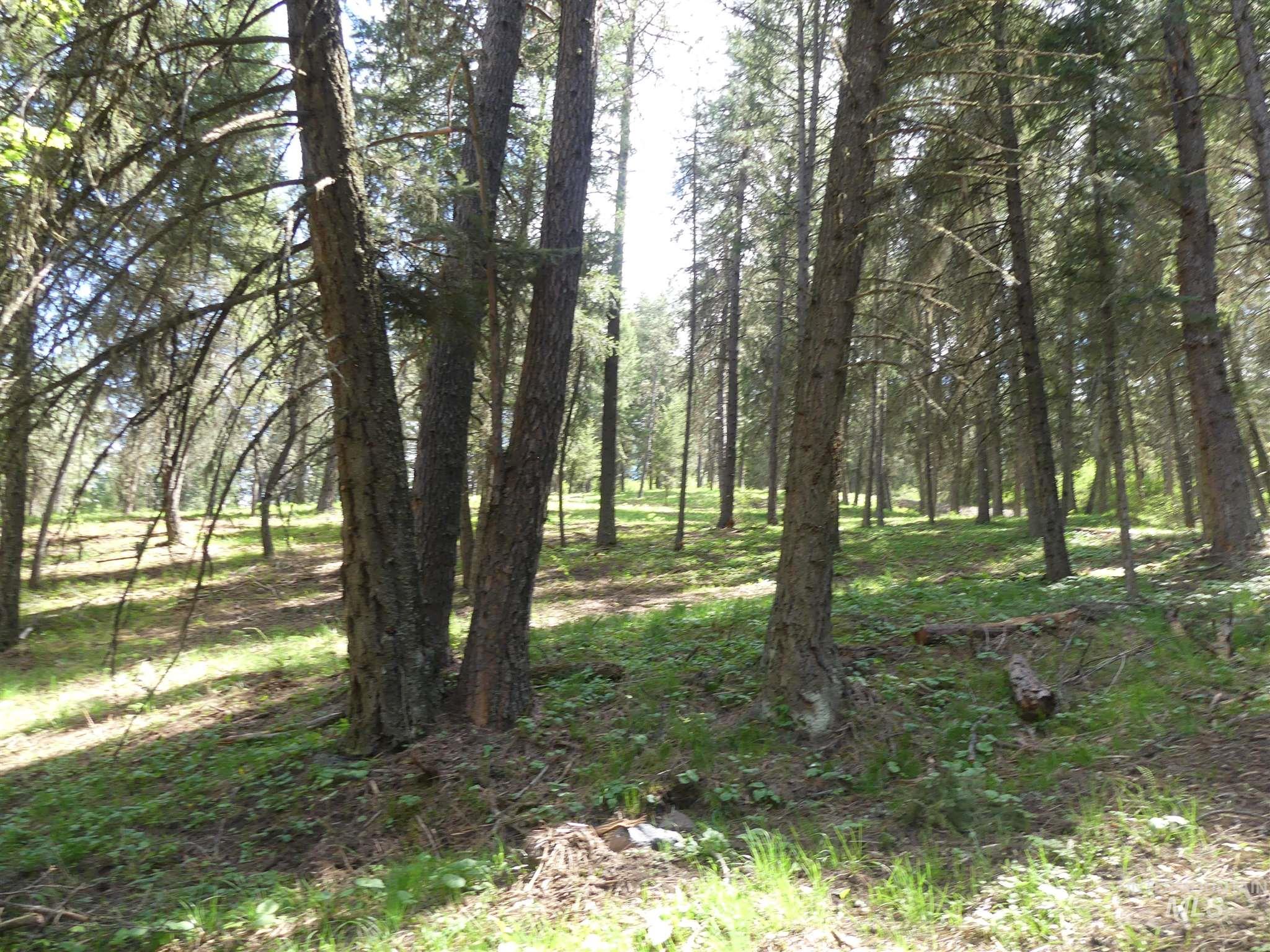 22743 Old Melrose Grade, Peck, Idaho 83545, Land For Sale, Price $300,000,MLS 98915395