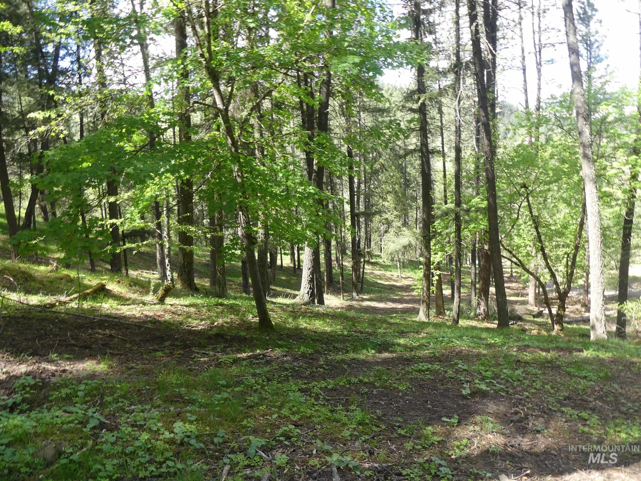 22743 Old Melrose Grade, Peck, Idaho 83545, Land For Sale, Price $250,000, 98915395