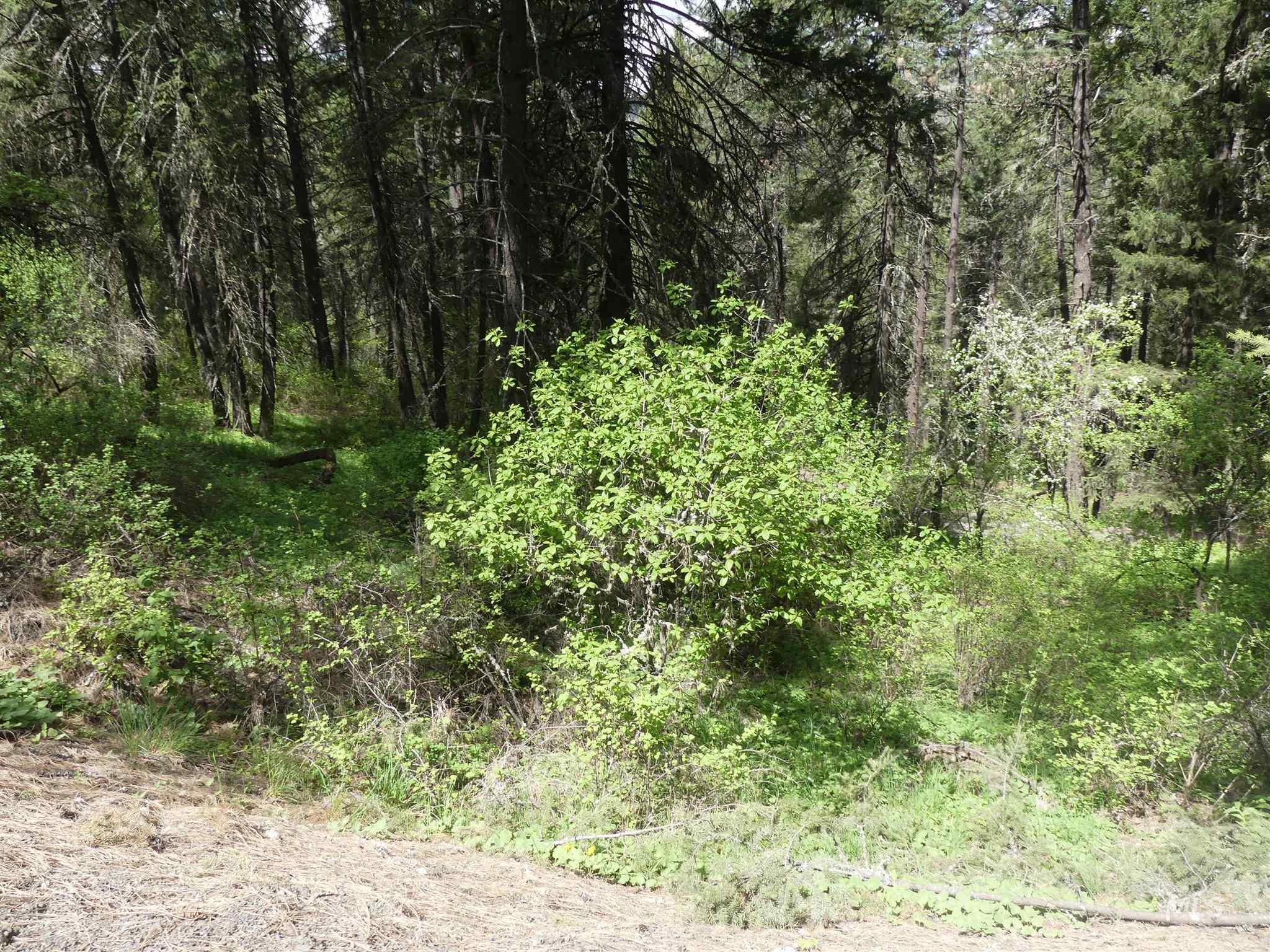 22743 Old Melrose Grade, Peck, Idaho 83545, Land For Sale, Price $250,000, 98915395
