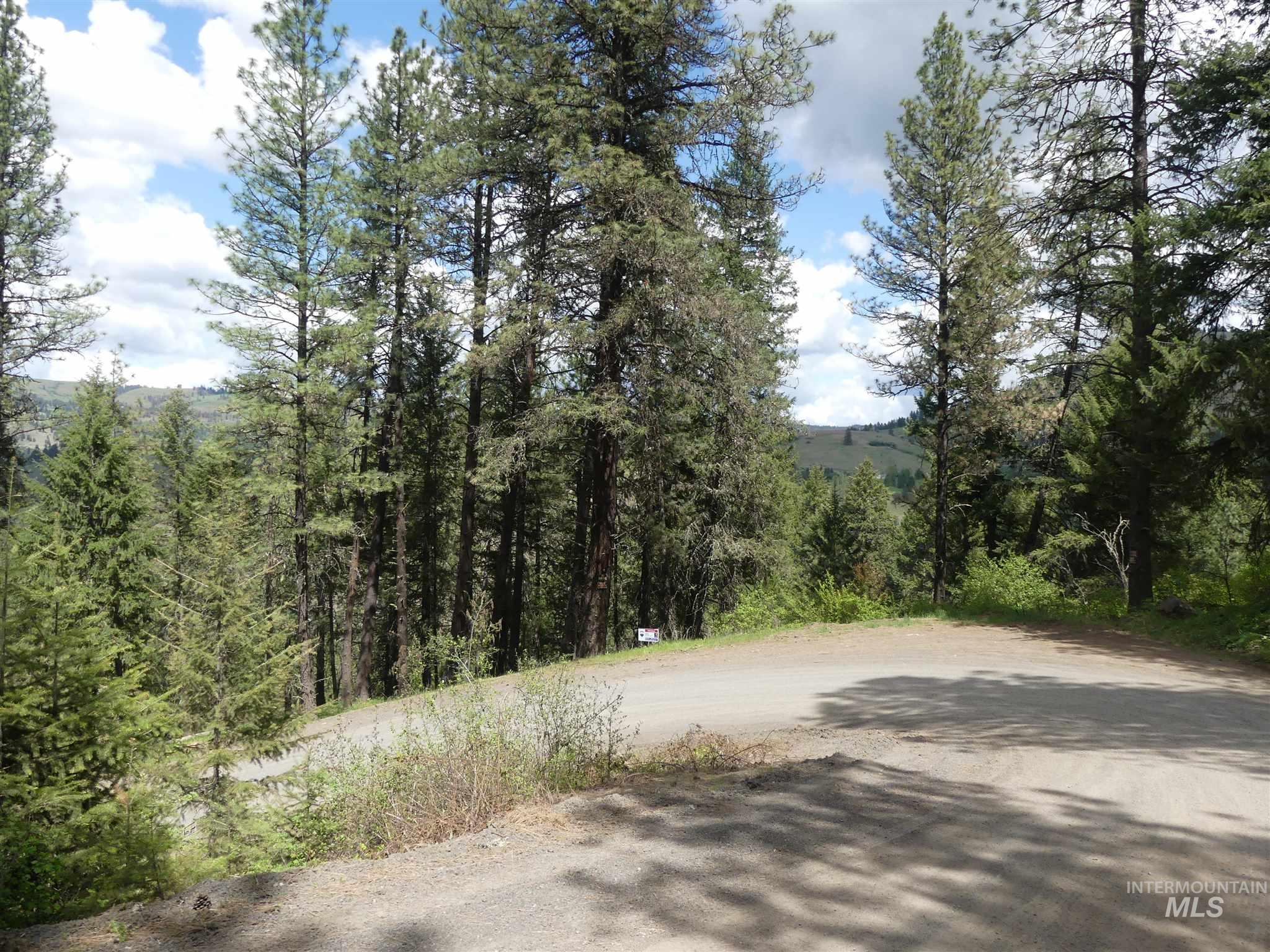 22743 Old Melrose Grade, Peck, Idaho 83545, Land For Sale, Price $250,000, 98915395