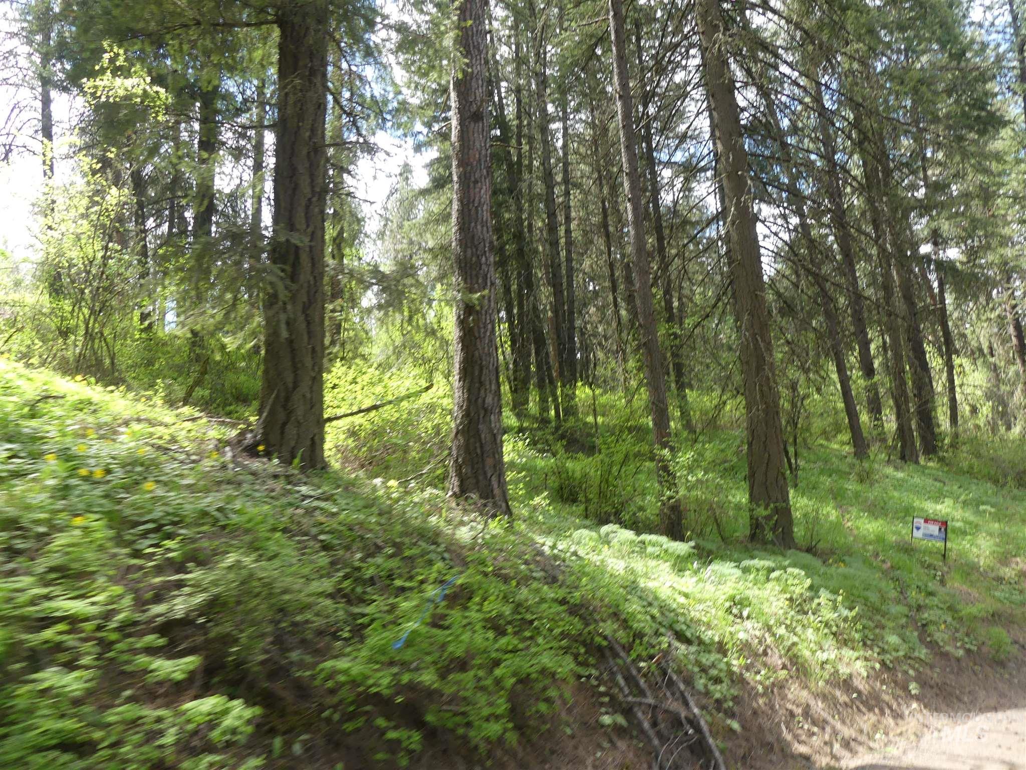 22743 Old Melrose Grade, Peck, Idaho 83545, Land For Sale, Price $250,000, 98915395