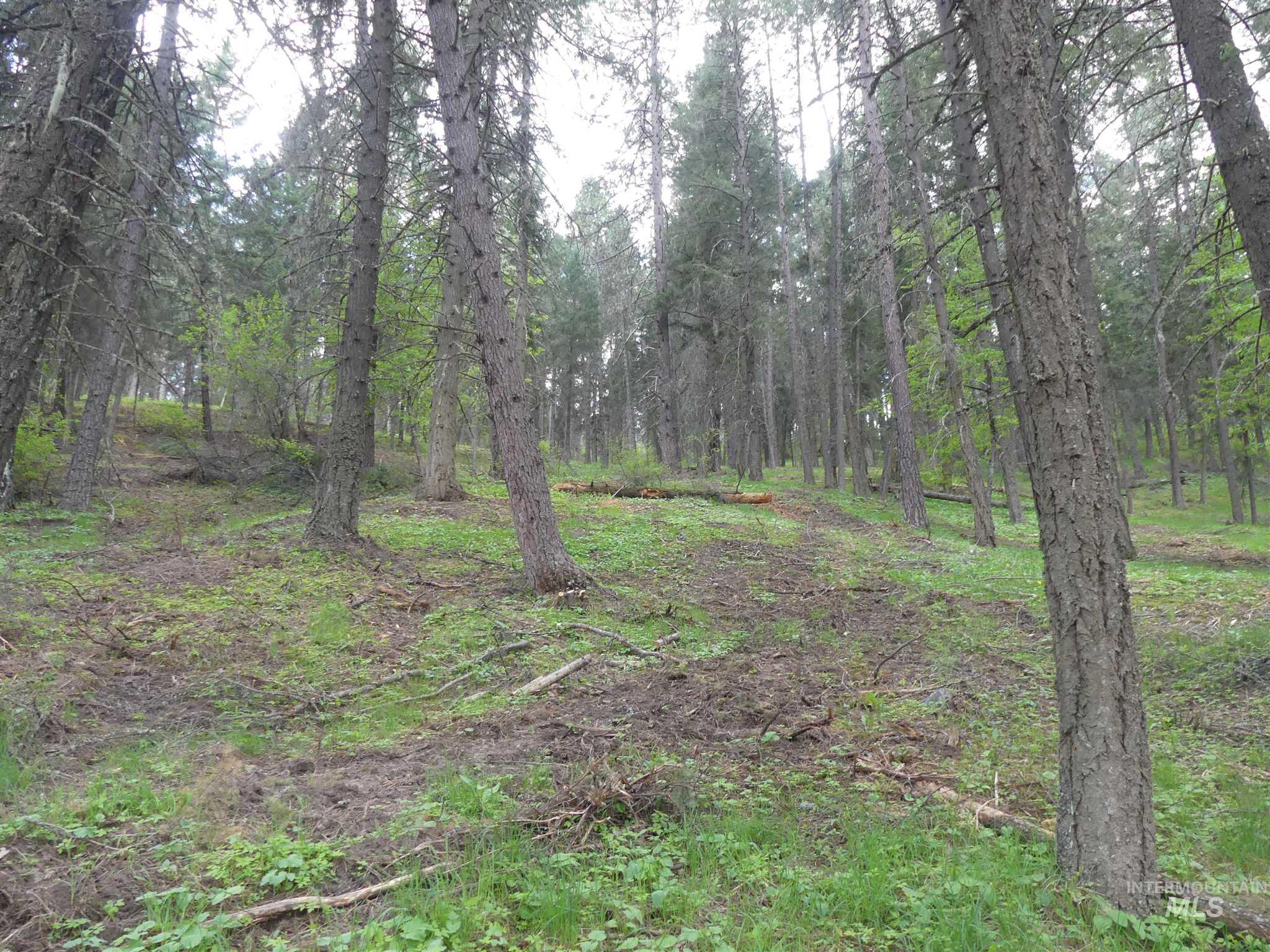 22743 Old Melrose Grade, Peck, Idaho 83545, Land For Sale, Price $250,000, 98915395