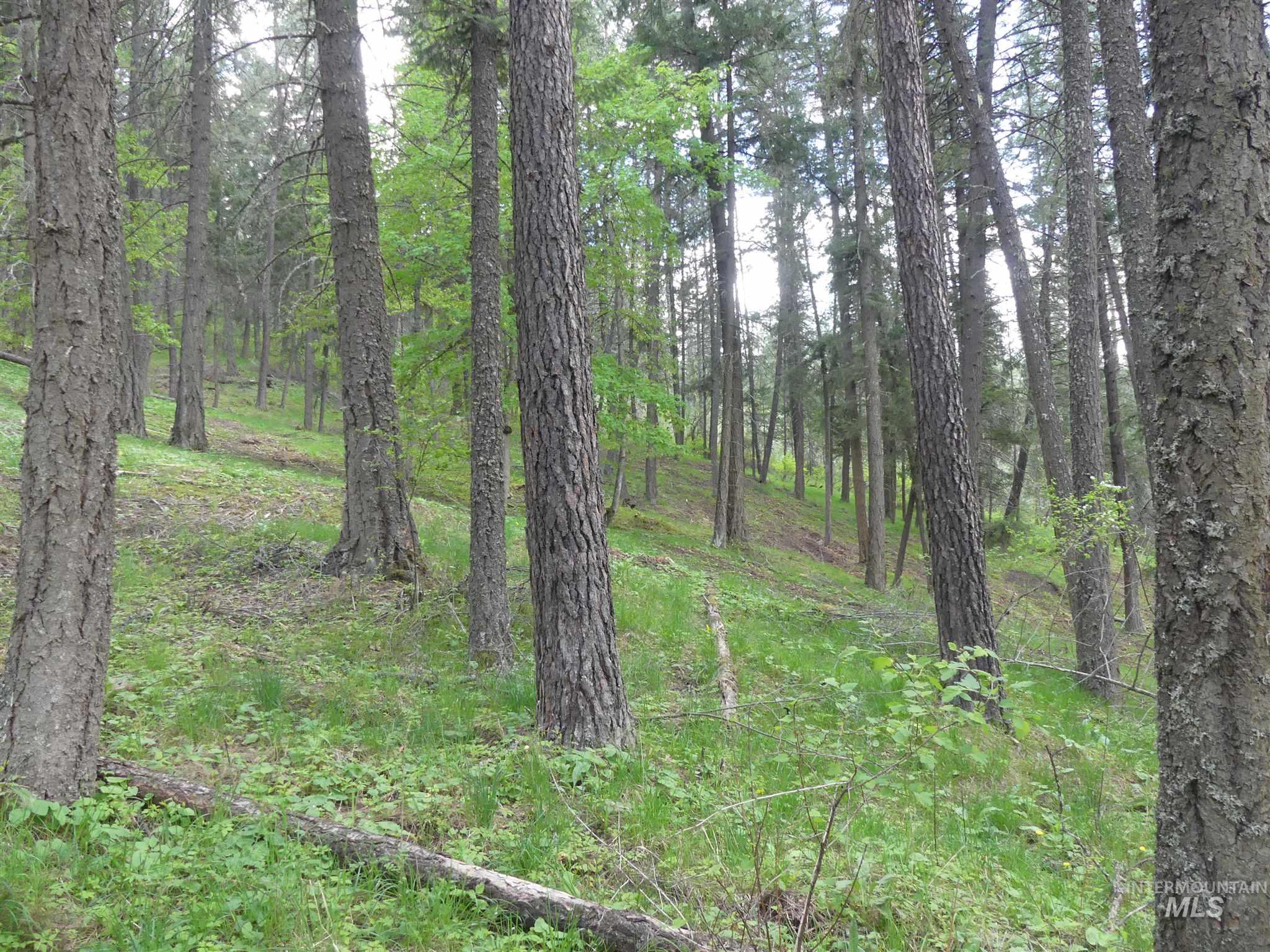 22743 Old Melrose Grade, Peck, Idaho 83545, Land For Sale, Price $250,000, 98915395
