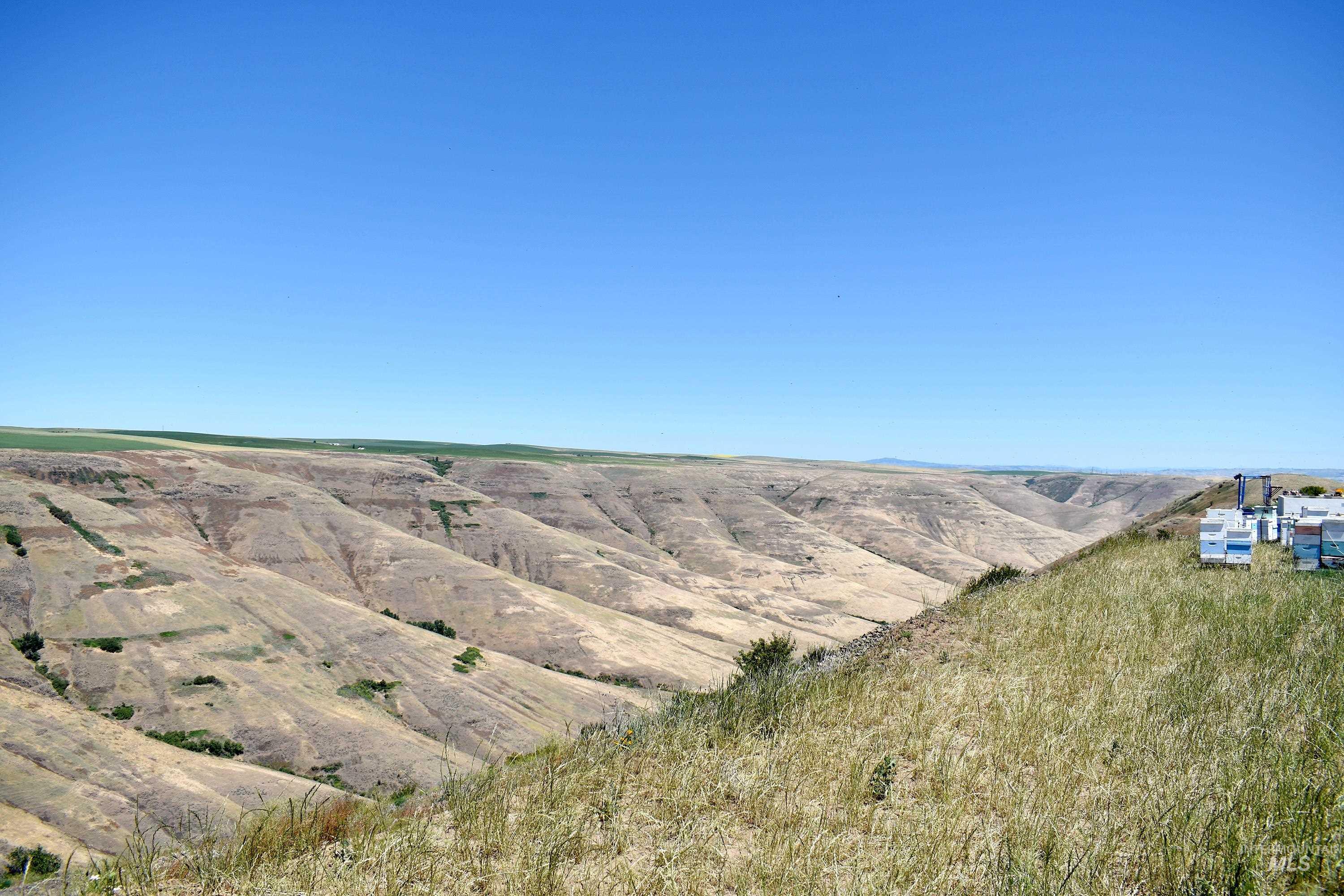 0 Spur Road, Genesee, Idaho 83832, Land For Sale, Price $309,500, 98915534