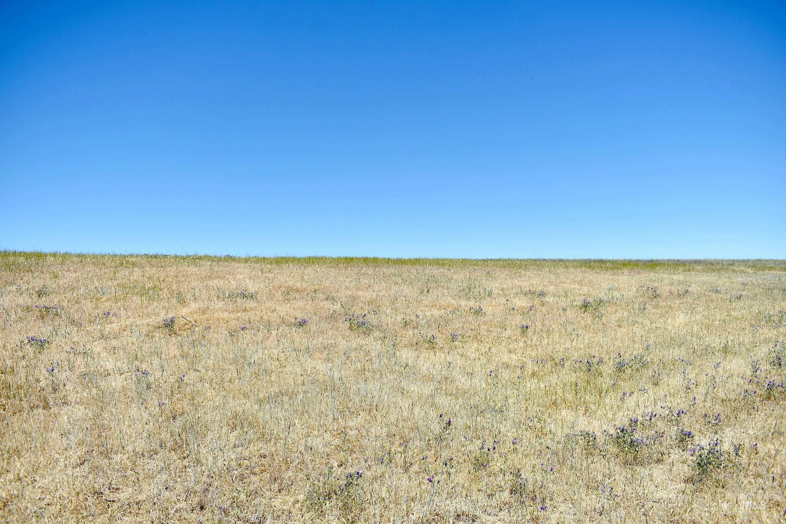 0 Spur Road, Genesee, Idaho 83832, Land For Sale, Price $309,500, 98915534