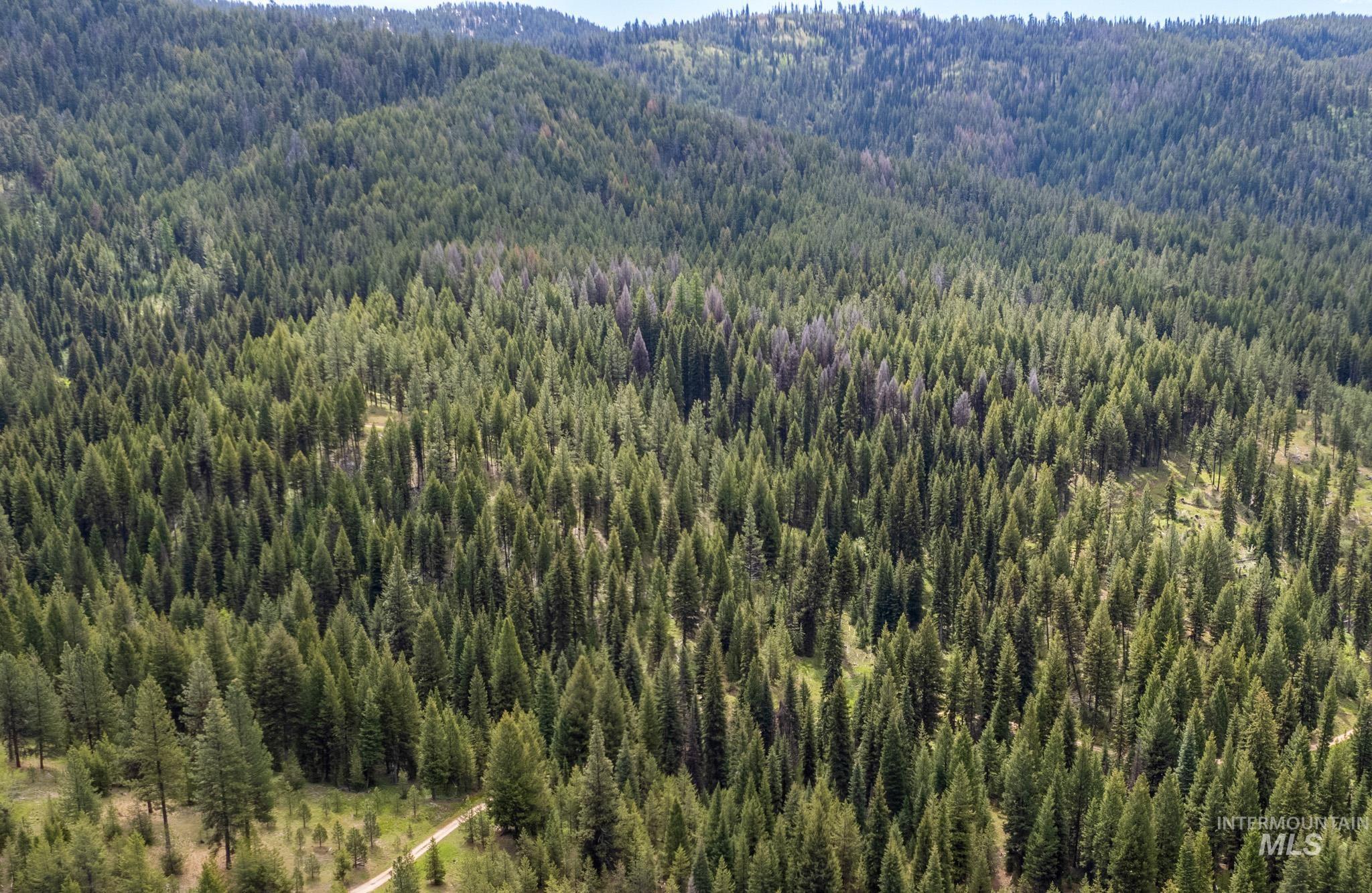 TBD 42 Clear Creek Road, Cascade, Idaho 83611, Land For Sale, Price $403,325, 98915555