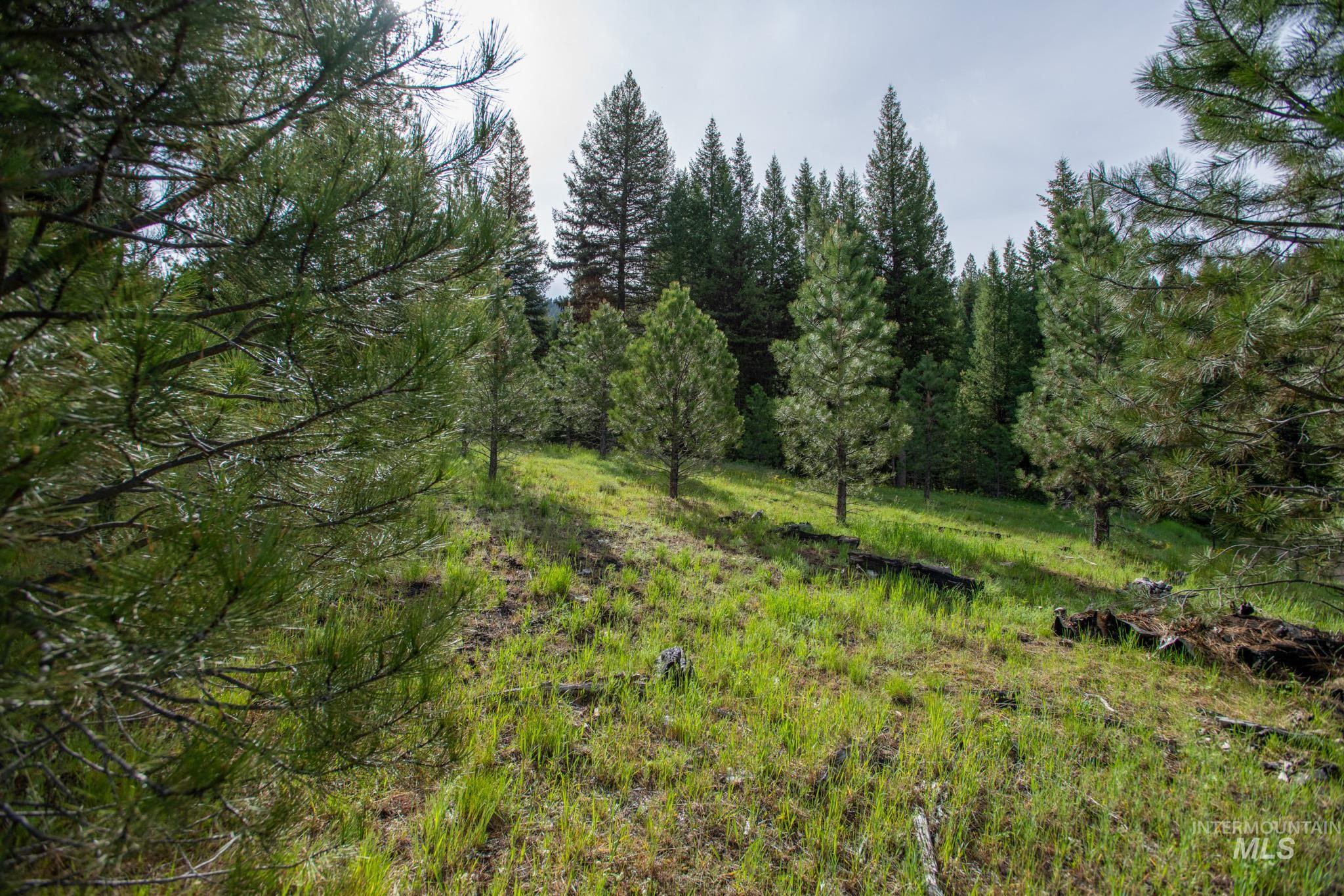 TBD 42 Clear Creek Road, Cascade, Idaho 83611, Land For Sale, Price $403,325, 98915555