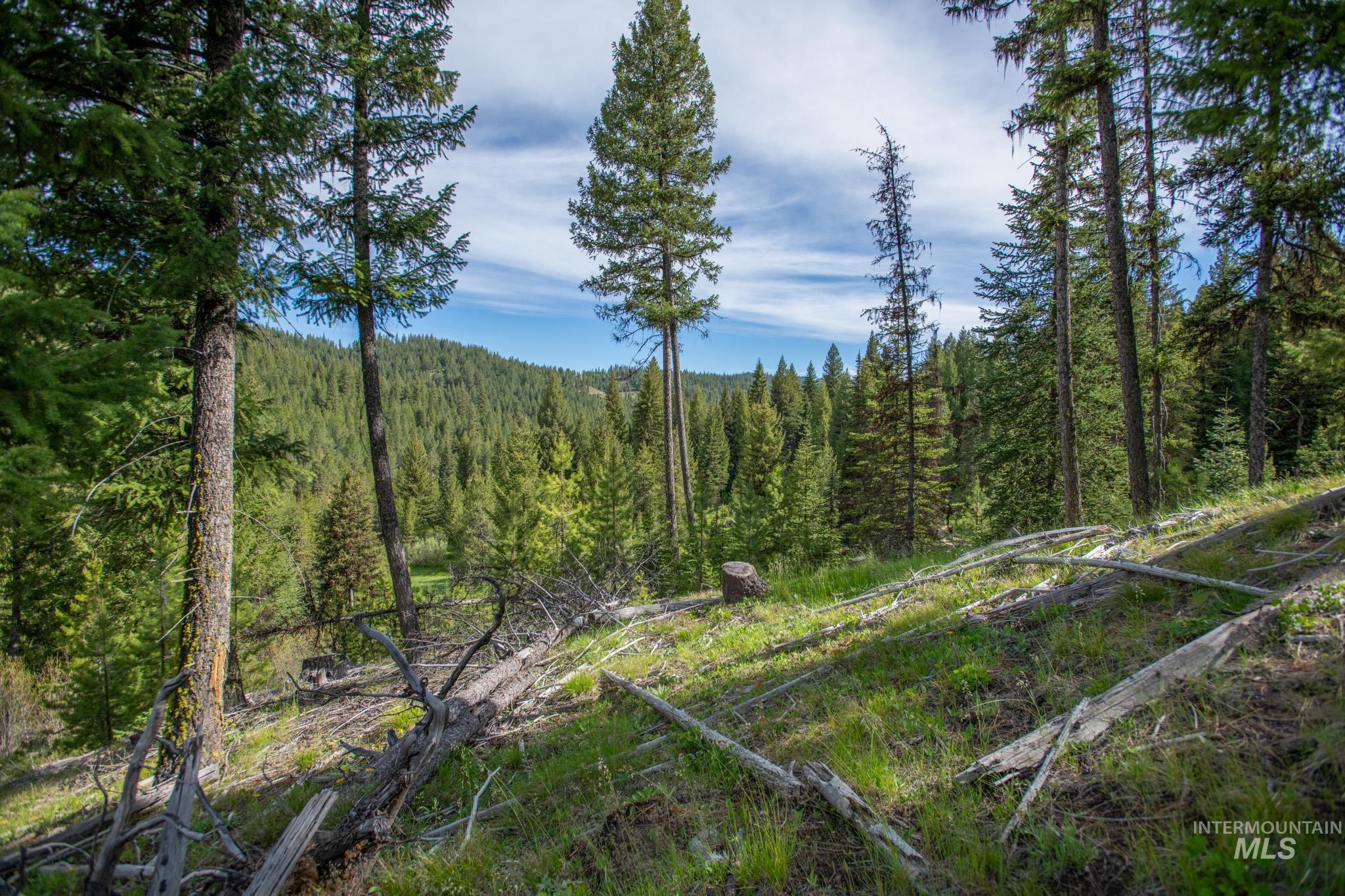 TBD 42 Clear Creek Road, Cascade, Idaho 83611, Land For Sale, Price $403,325, 98915555