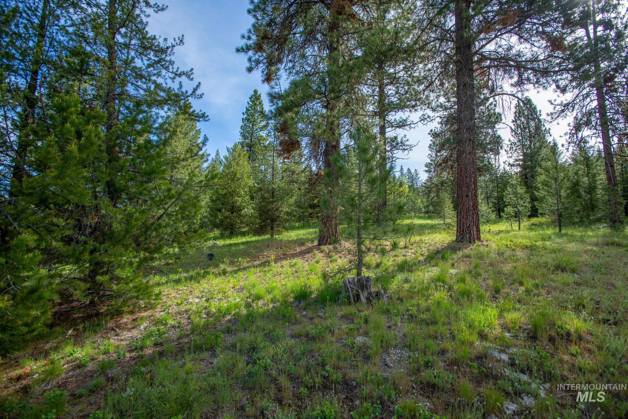 TBD 42 Clear Creek Road, Cascade, Idaho 83611, Land For Sale, Price $403,325, 98915555