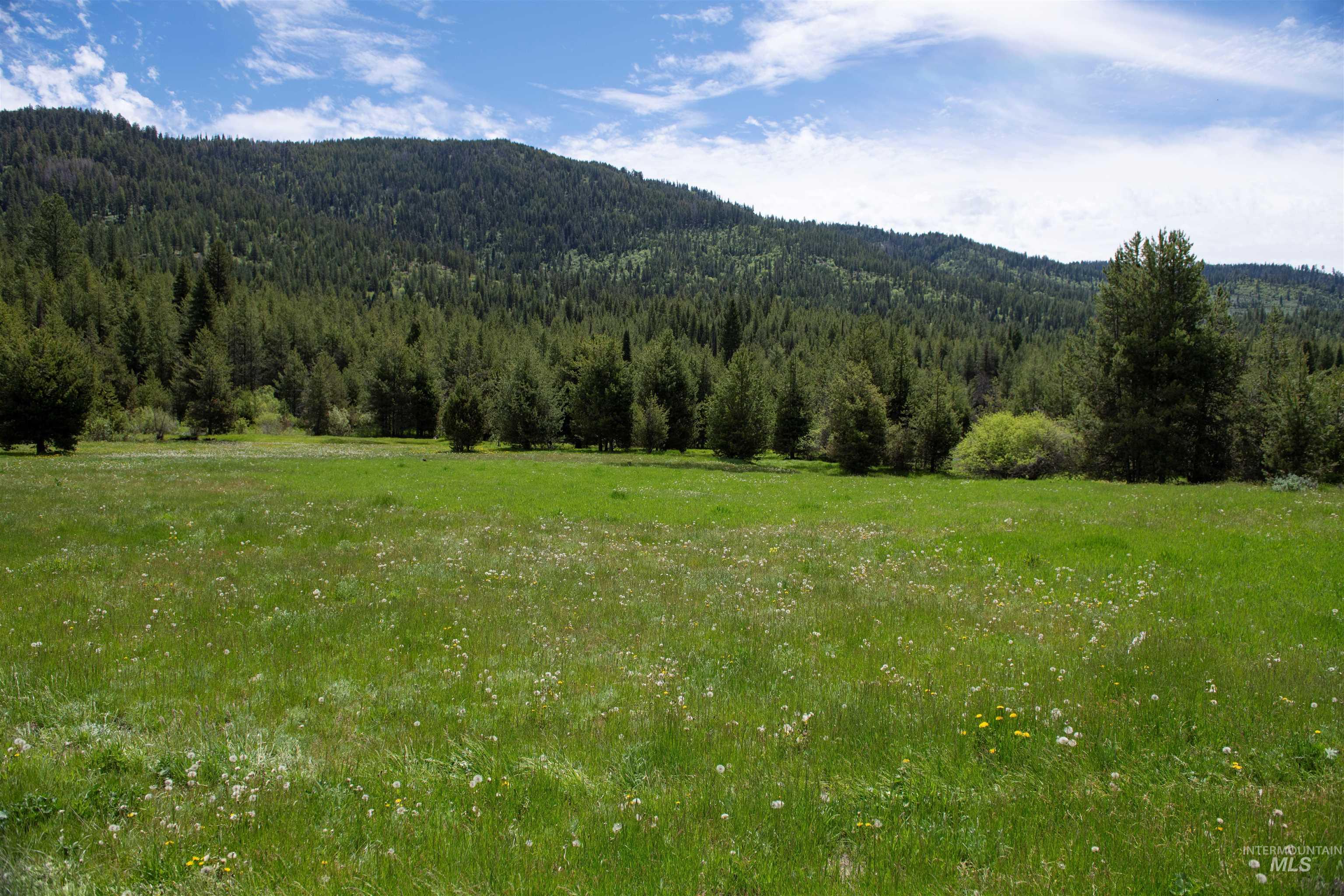 TBD 27 Clear Creek Road, Cascade, Idaho 83611, Land For Sale, Price $380,375, 98915560