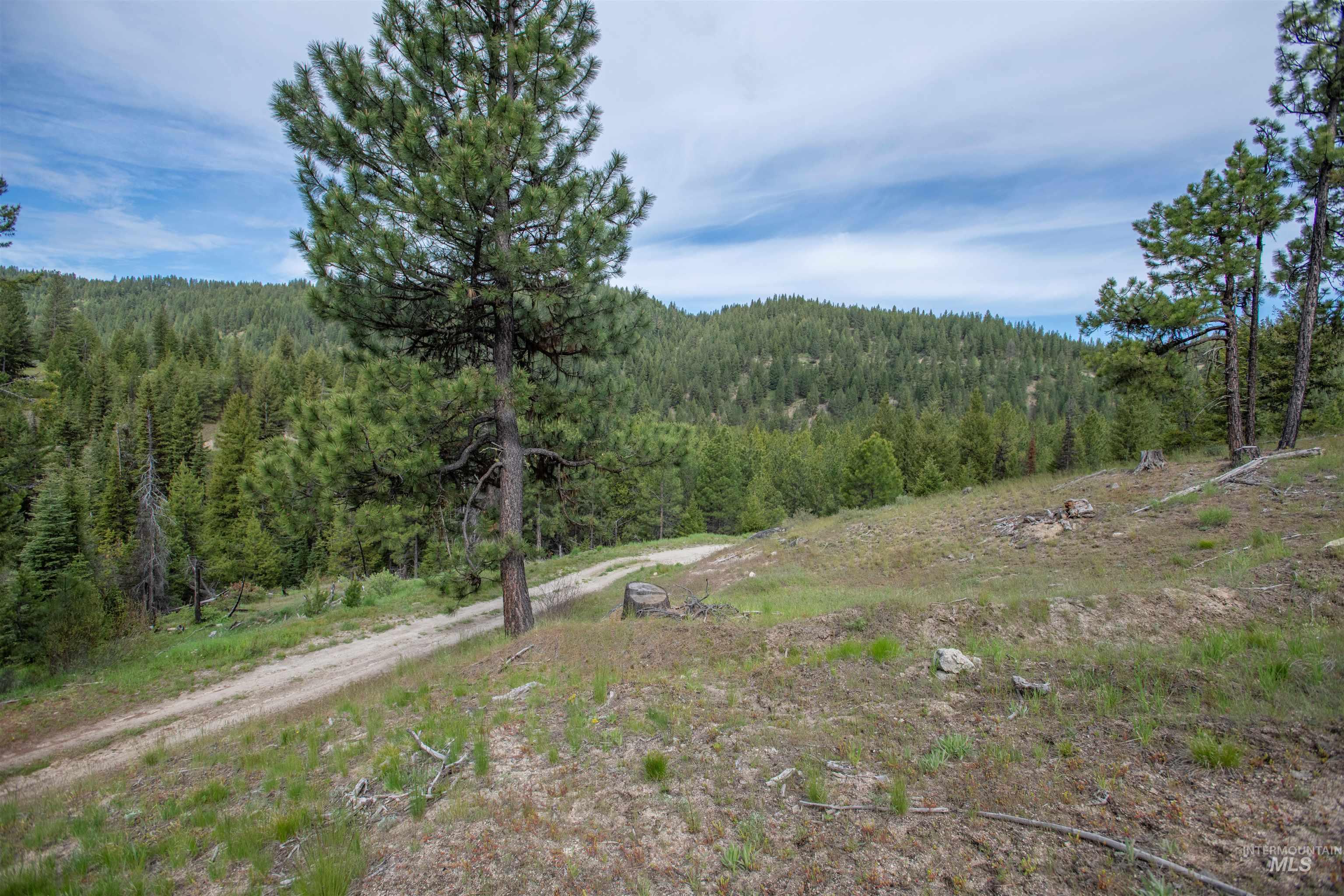 TBD 34 Clear Creek Road, Cascade, Idaho 83611, Land For Sale, Price $319,256, 98915588