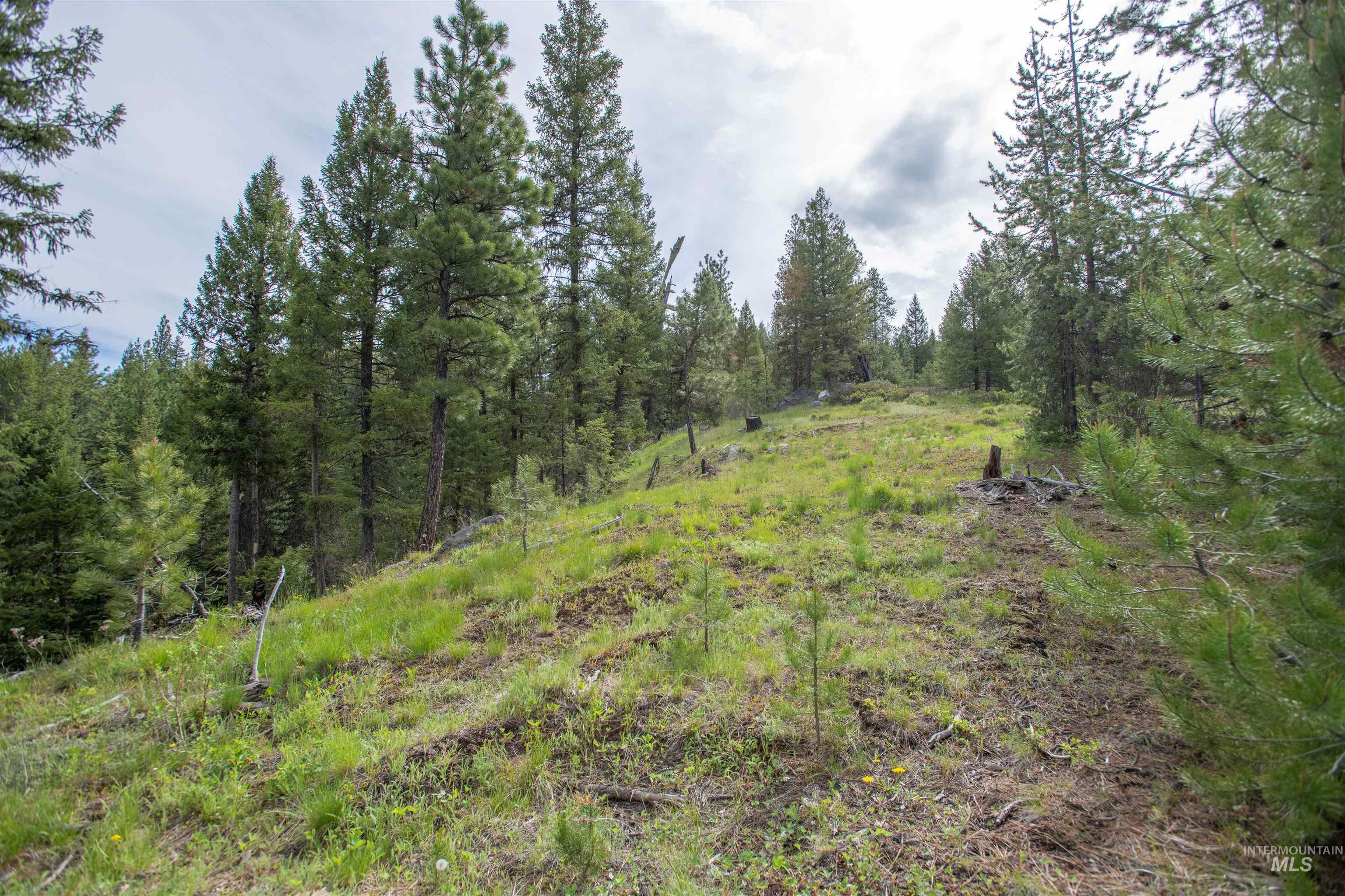 TBD 34 Clear Creek Road, Cascade, Idaho 83611, Land For Sale, Price $319,256, 98915588