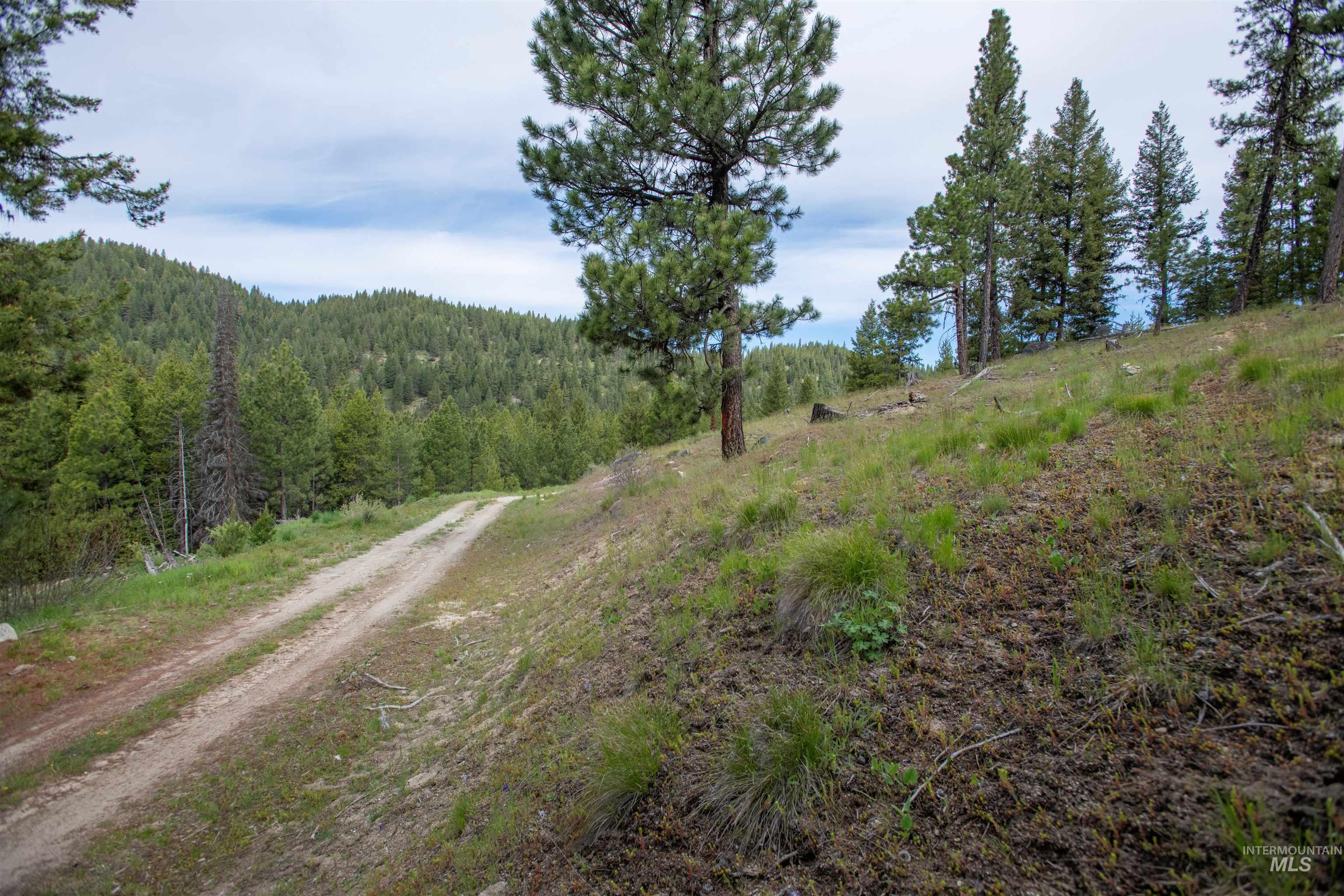 TBD 34 Clear Creek Road, Cascade, Idaho 83611, Land For Sale, Price $319,256, 98915588