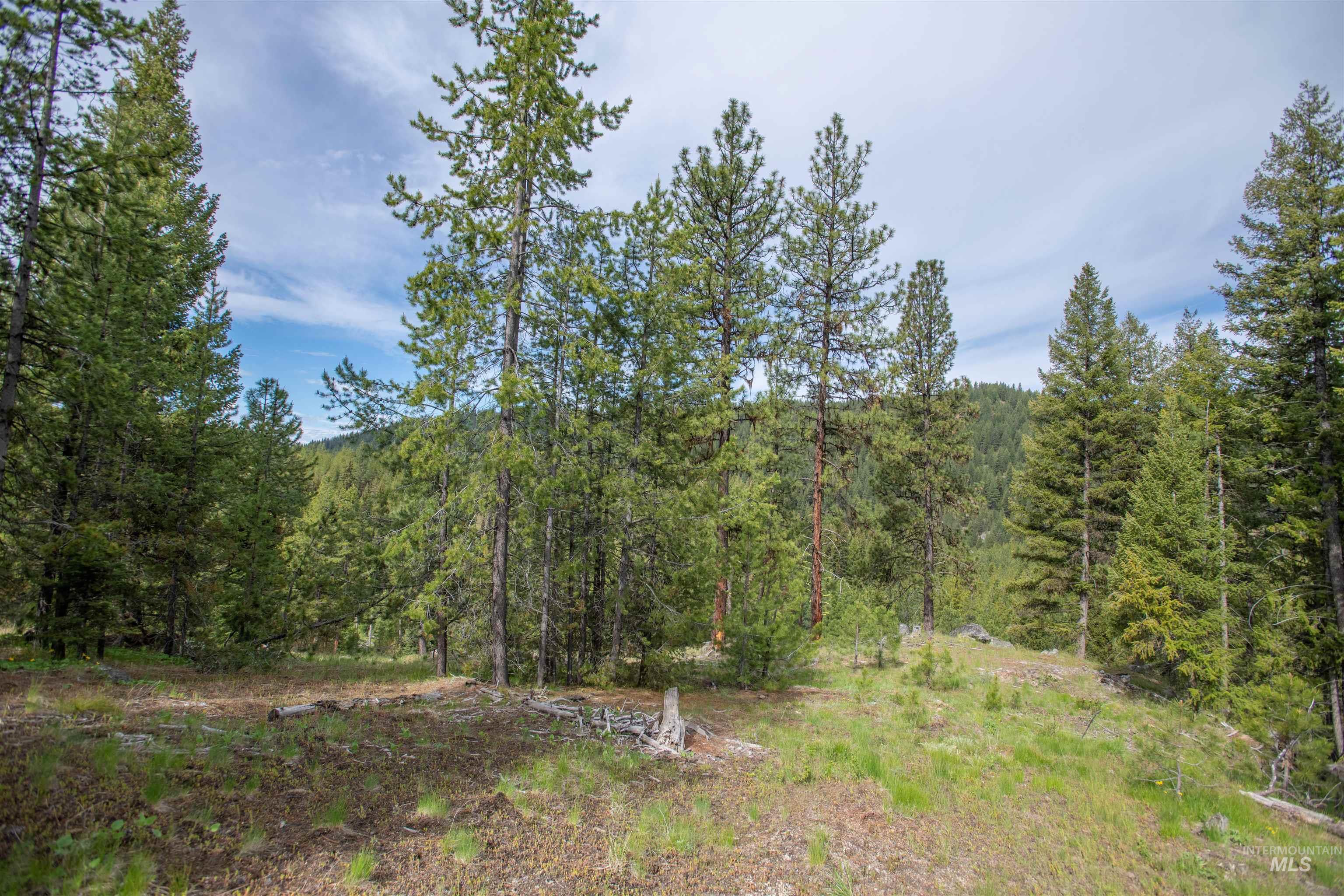 TBD 34 Clear Creek Road, Cascade, Idaho 83611, Land For Sale, Price $319,256, 98915588