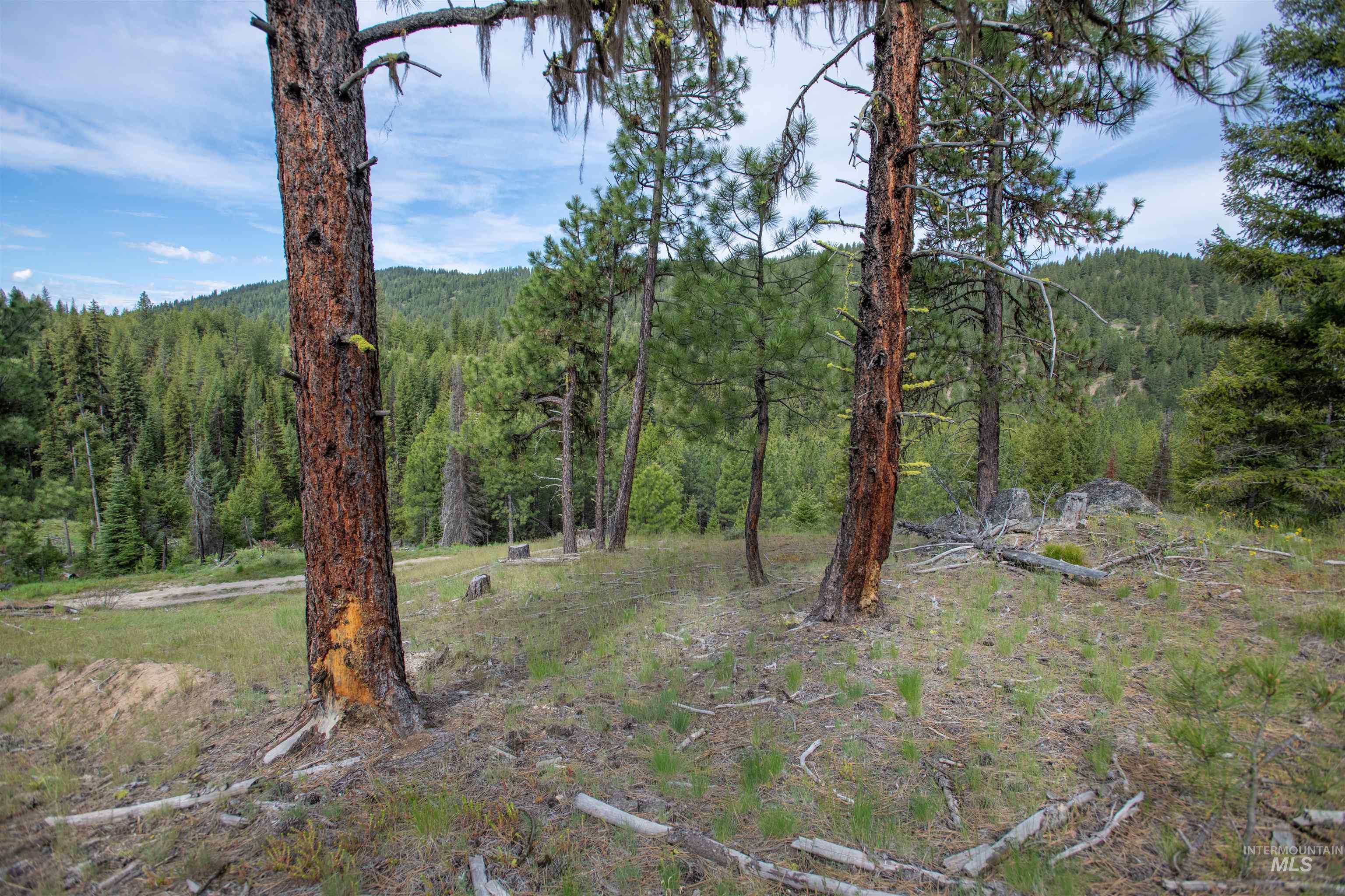 TBD 34 Clear Creek Road, Cascade, Idaho 83611, Land For Sale, Price $319,256, 98915588