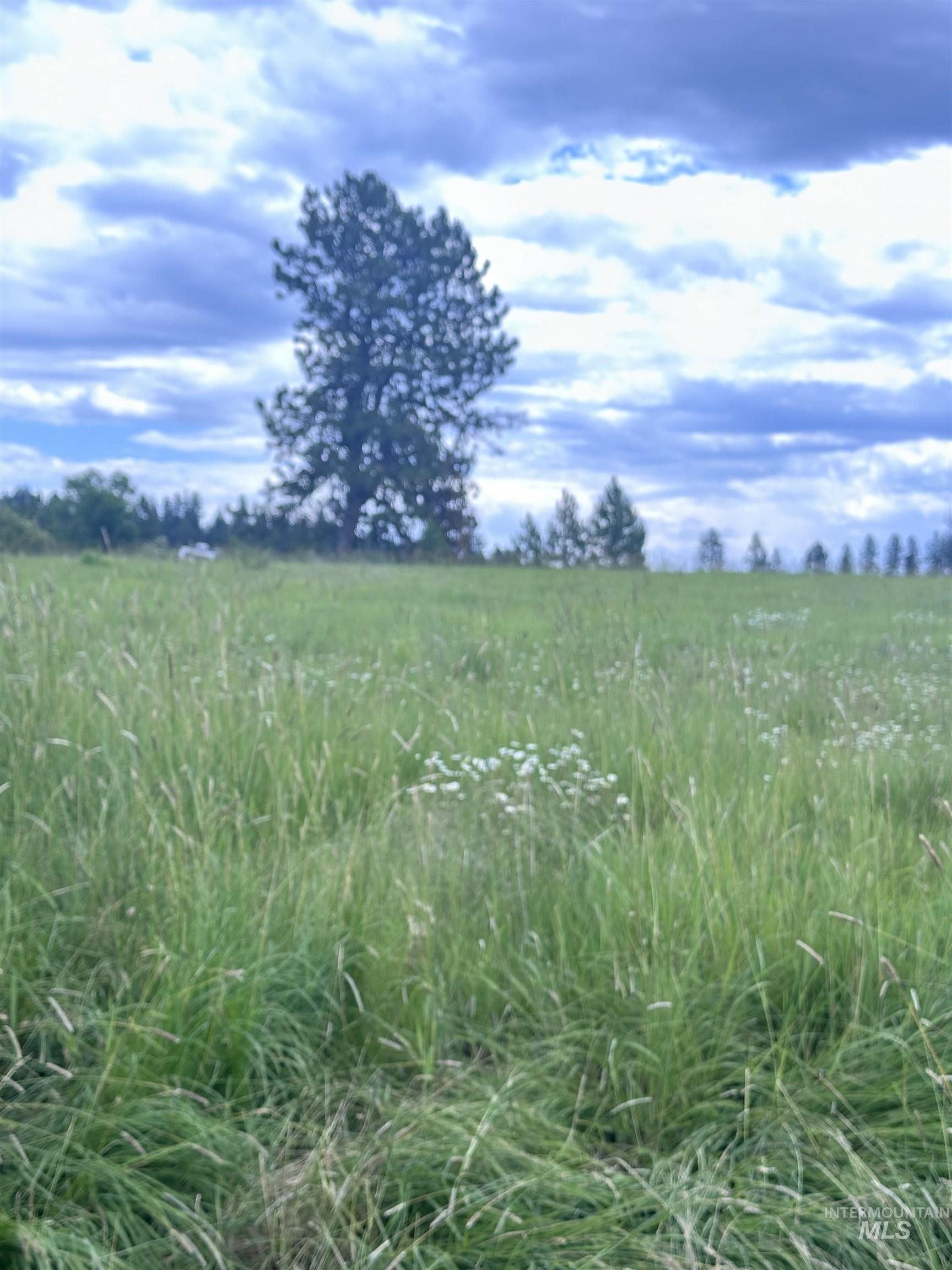 113 Woodland Avenue, Kamiah, Idaho 83536, Land For Sale, Price $39,500, 98915651