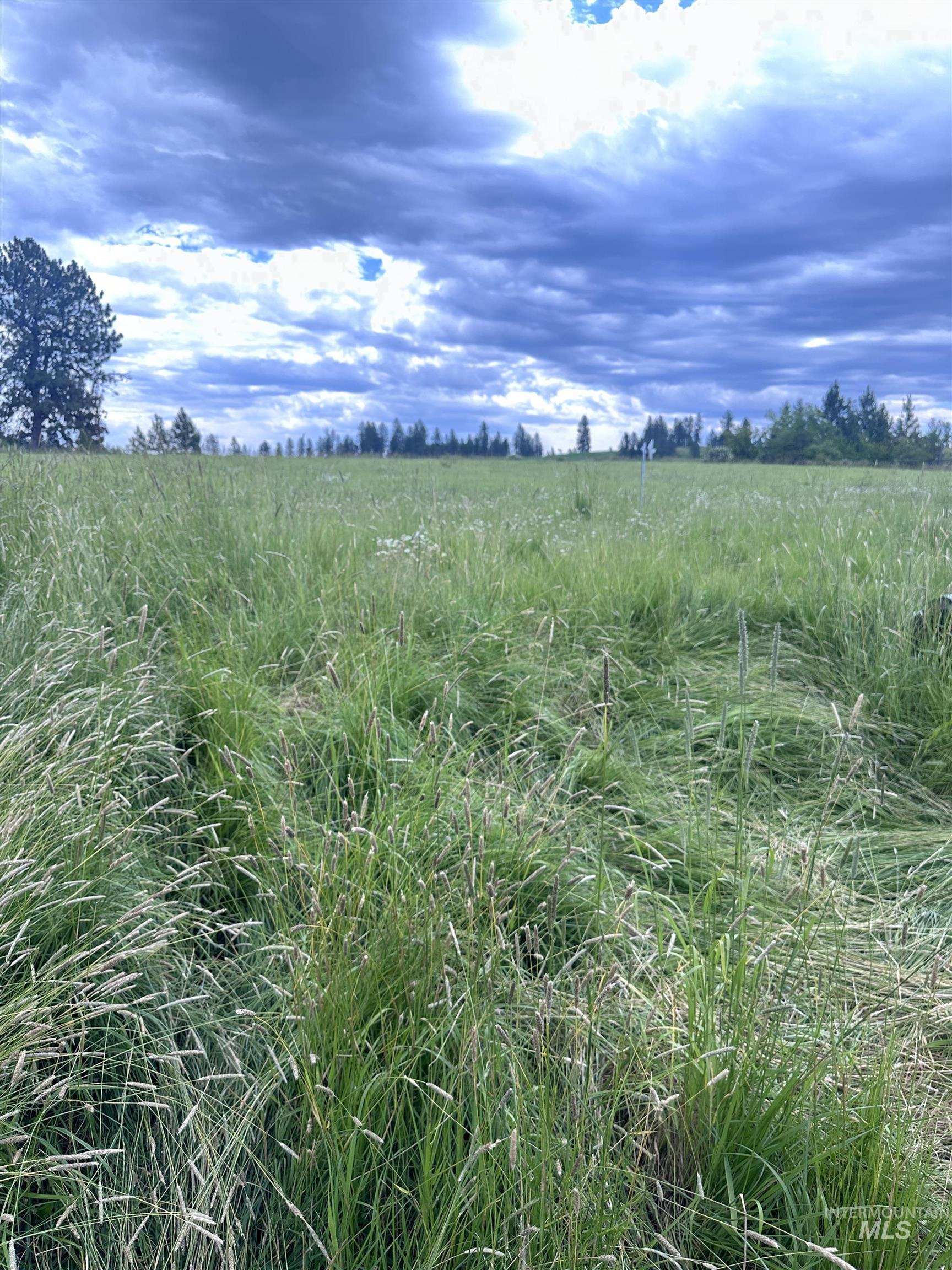 113 Woodland Avenue, Kamiah, Idaho 83536, Land For Sale, Price $39,500, 98915651