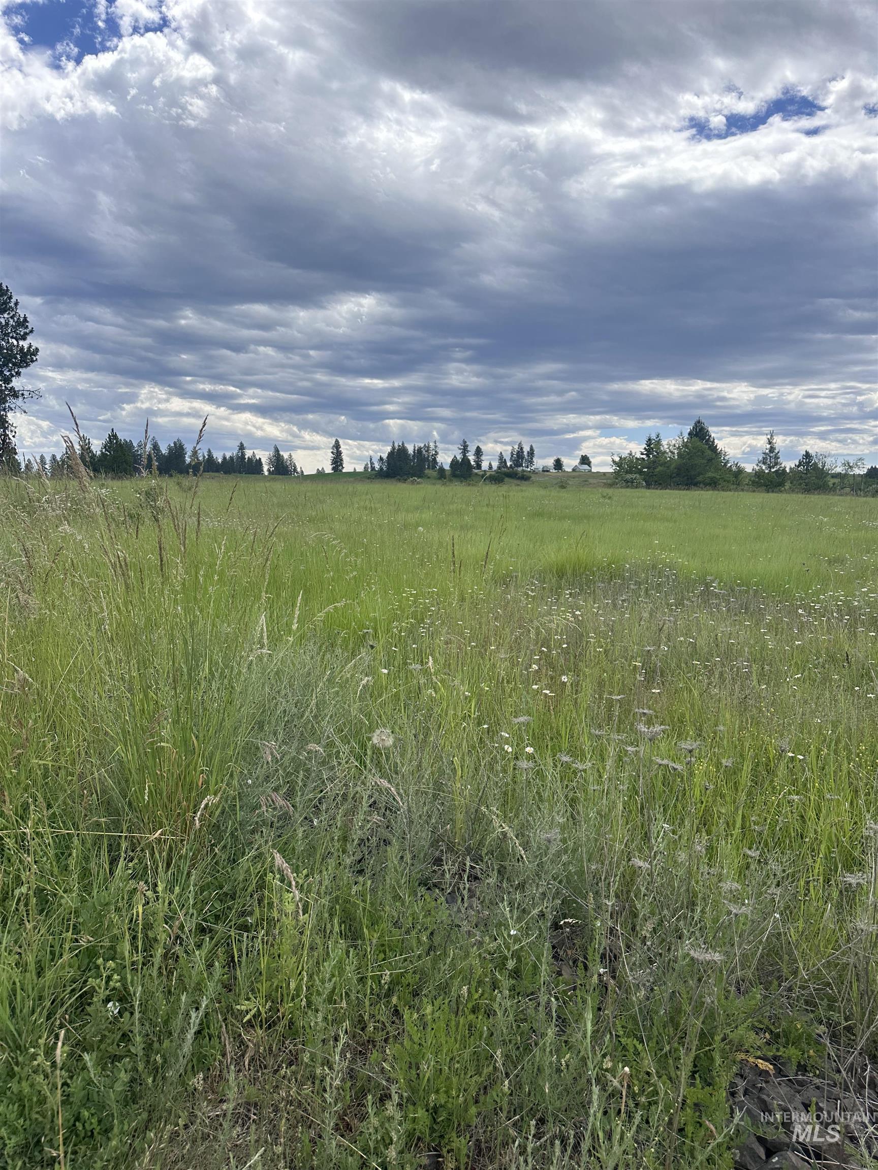 113 Woodland Avenue, Kamiah, Idaho 83536, Land For Sale, Price $39,500, 98915651