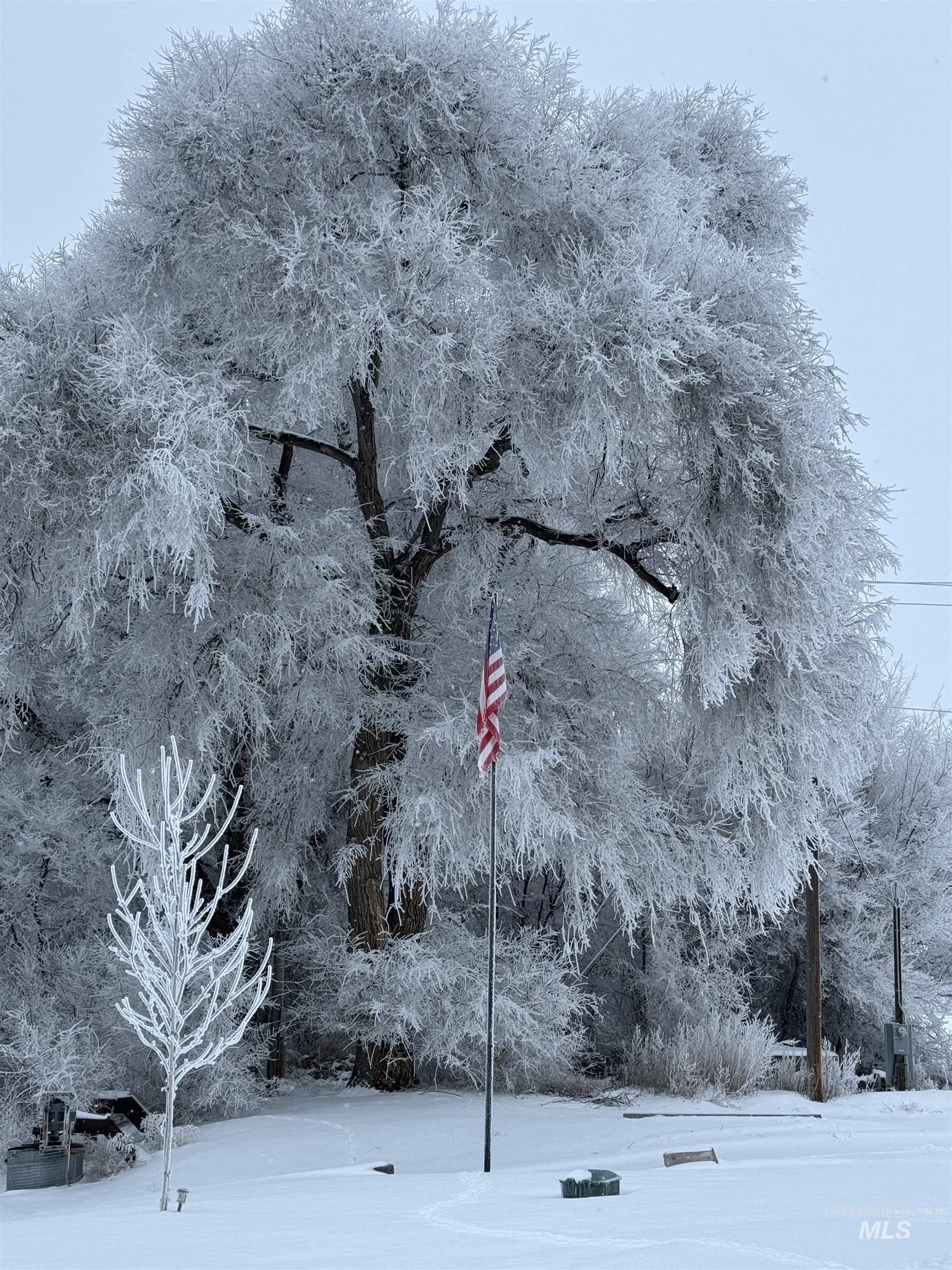 1964 River Road, Homedale, Idaho 83628, 5 Bedrooms, 4 Bathrooms, Residential For Sale, Price $1,995,000, 98915675