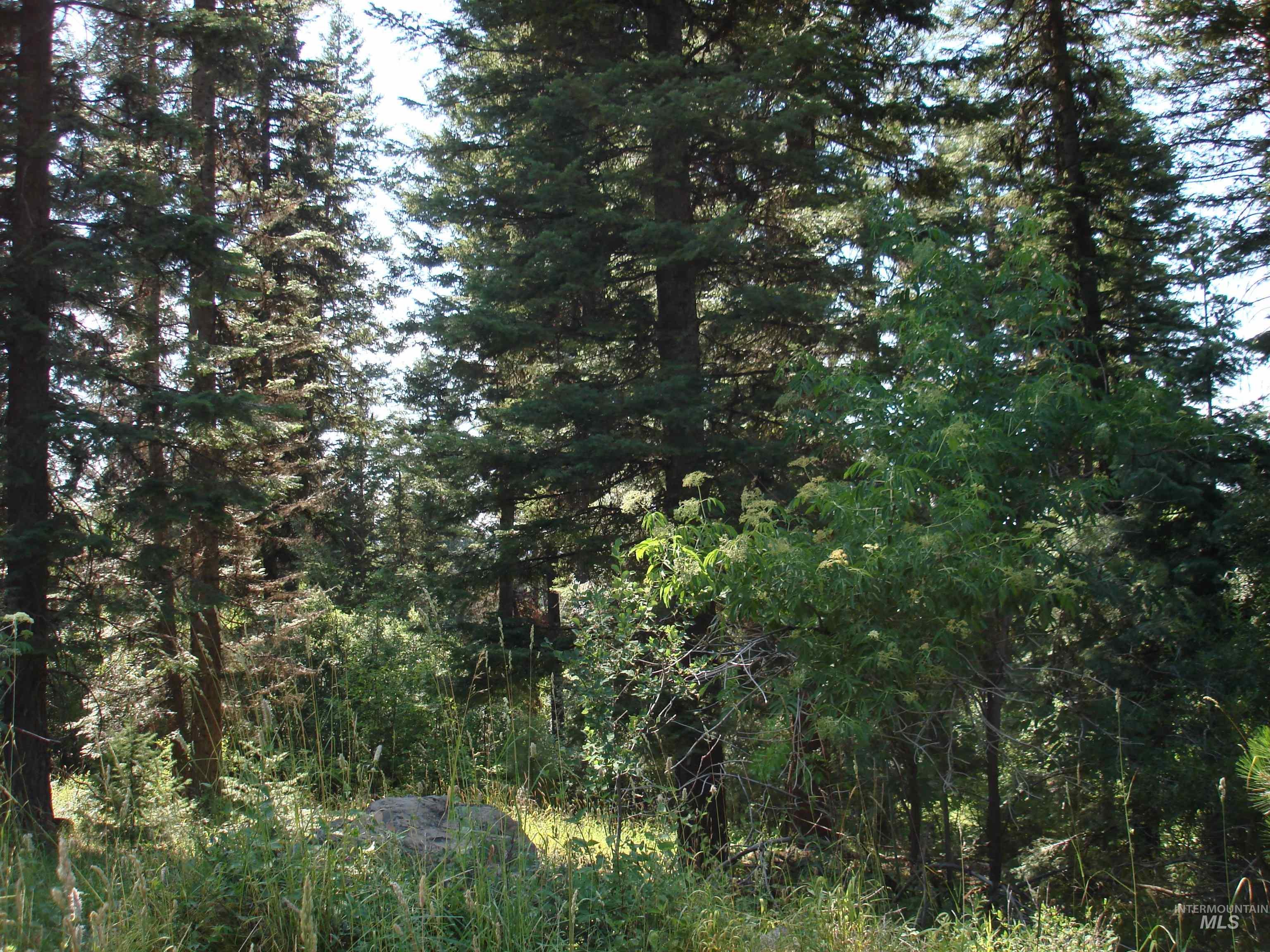 Lot 2 Majestic View Drive, McCall, Idaho 83638, Land For Sale, Price $275,000,MLS 98915680
