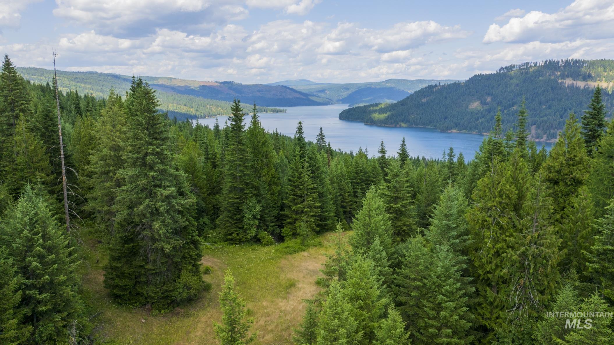 7362 S Dicks Creek Rd, Kendrick, Idaho 83537, Land For Sale, Price $289,900, 98915744