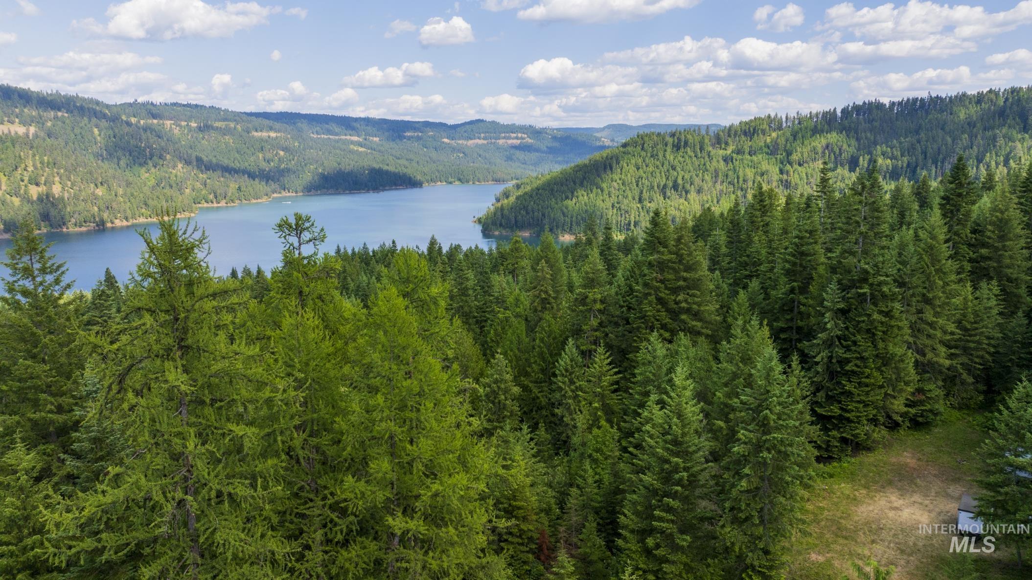 7362 S Dicks Creek Rd, Kendrick, Idaho 83537, Land For Sale, Price $289,900, 98915744