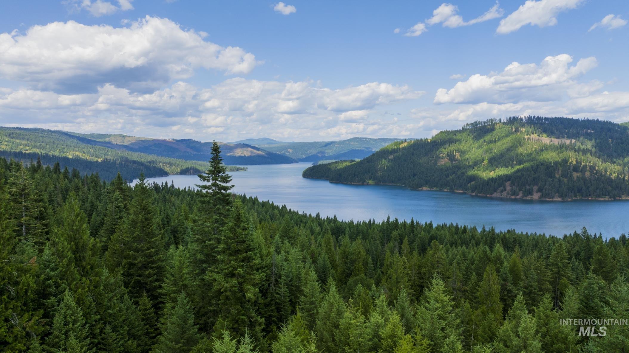 7362 S Dicks Creek Rd, Kendrick, Idaho 83537, Land For Sale, Price $289,900, 98915744