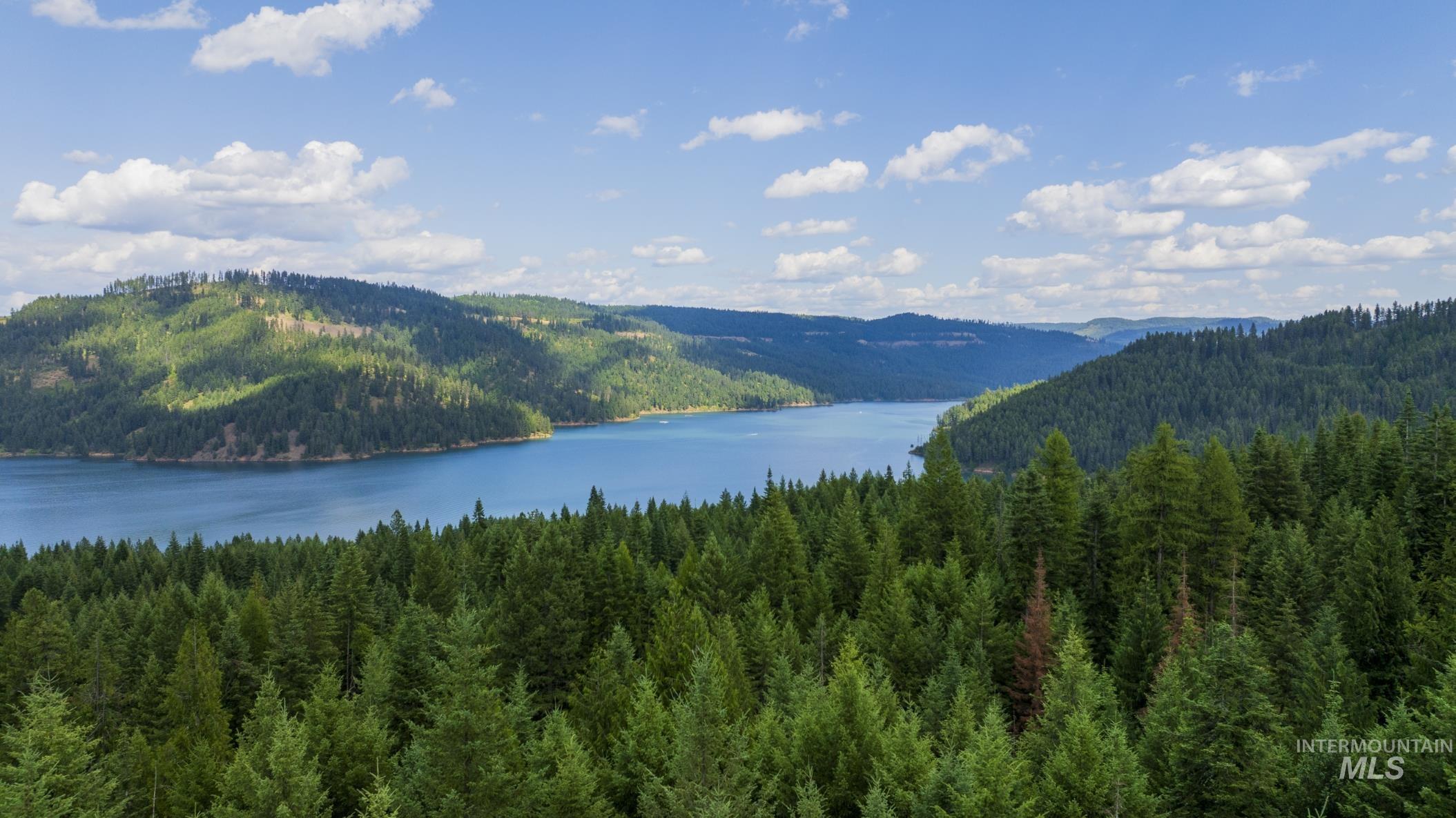 7362 S Dicks Creek Rd, Kendrick, Idaho 83537, Land For Sale, Price $289,900, 98915744