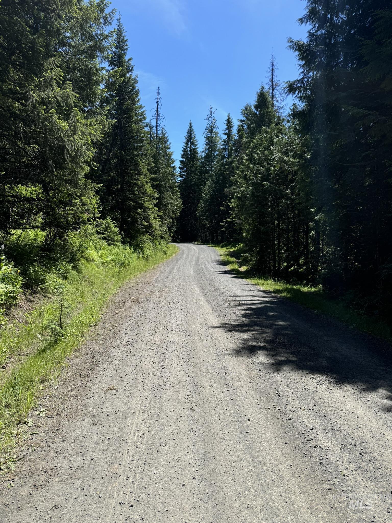 7362 S Dicks Creek Rd, Kendrick, Idaho 83537, Land For Sale, Price $289,900, 98915744