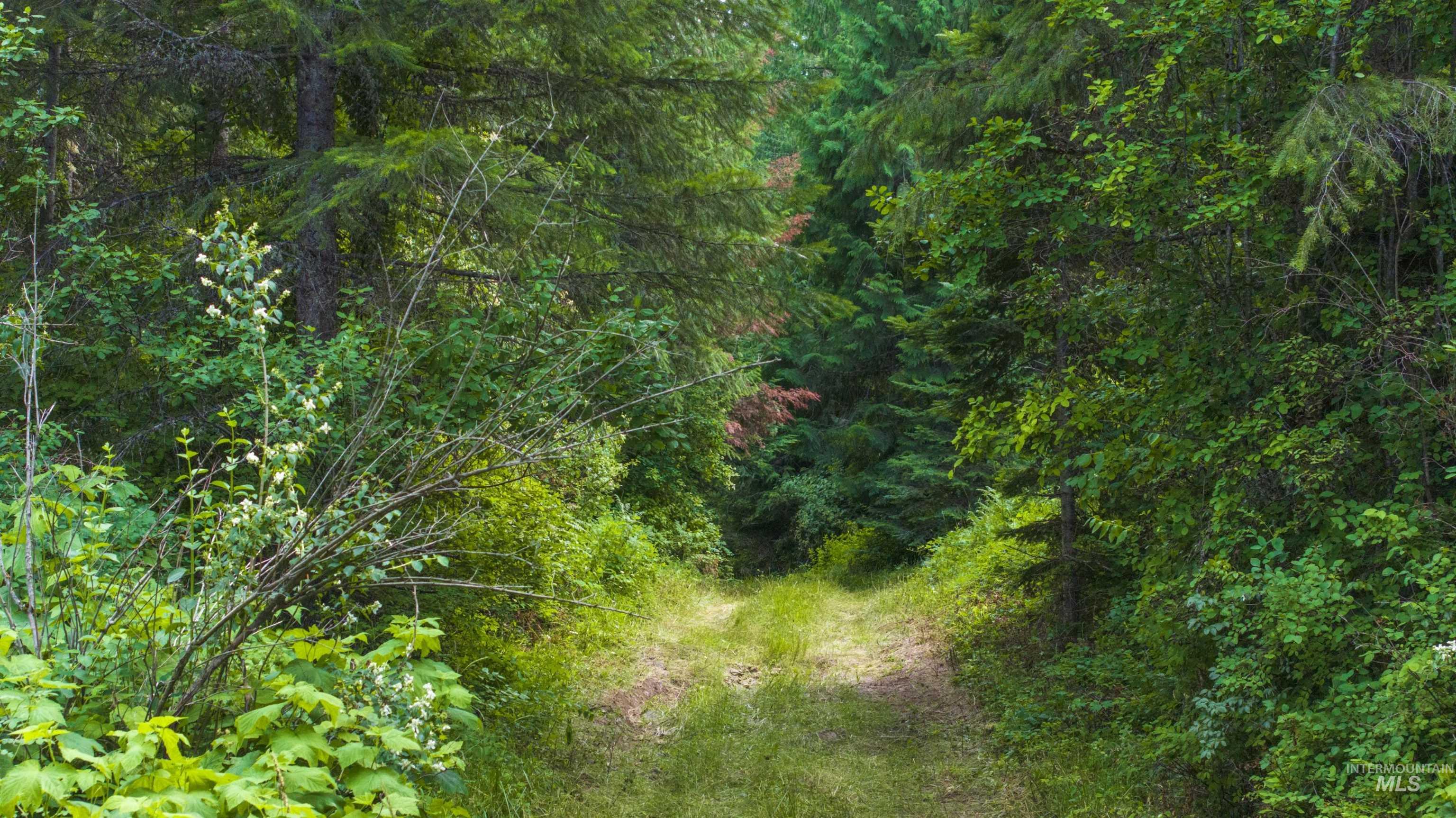 7362 S Dicks Creek Rd, Kendrick, Idaho 83537, Land For Sale, Price $289,900, 98915744